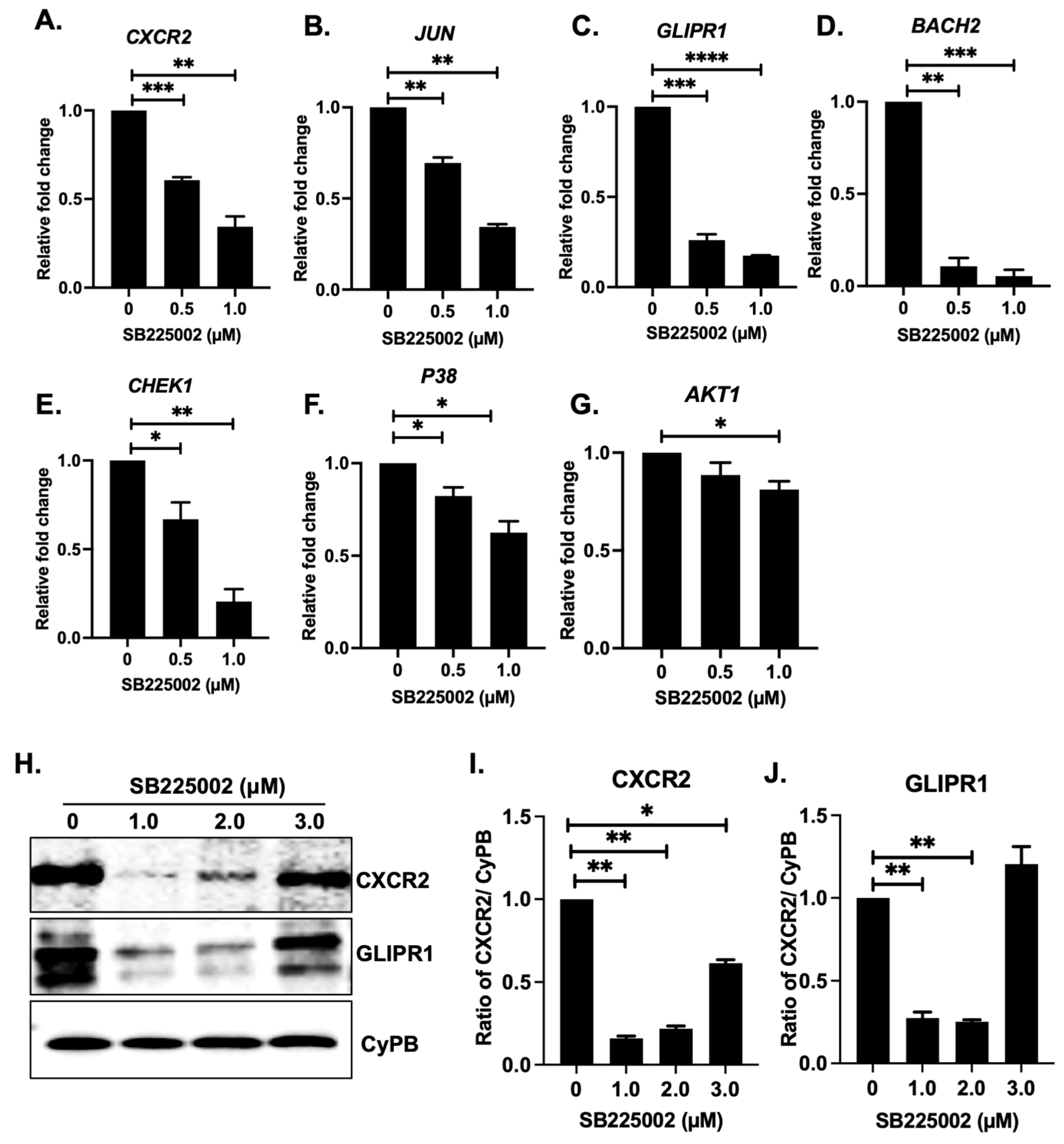 Pharmaceuticals 18 01547 g005 Pharmaceuticals 18 01547 g005