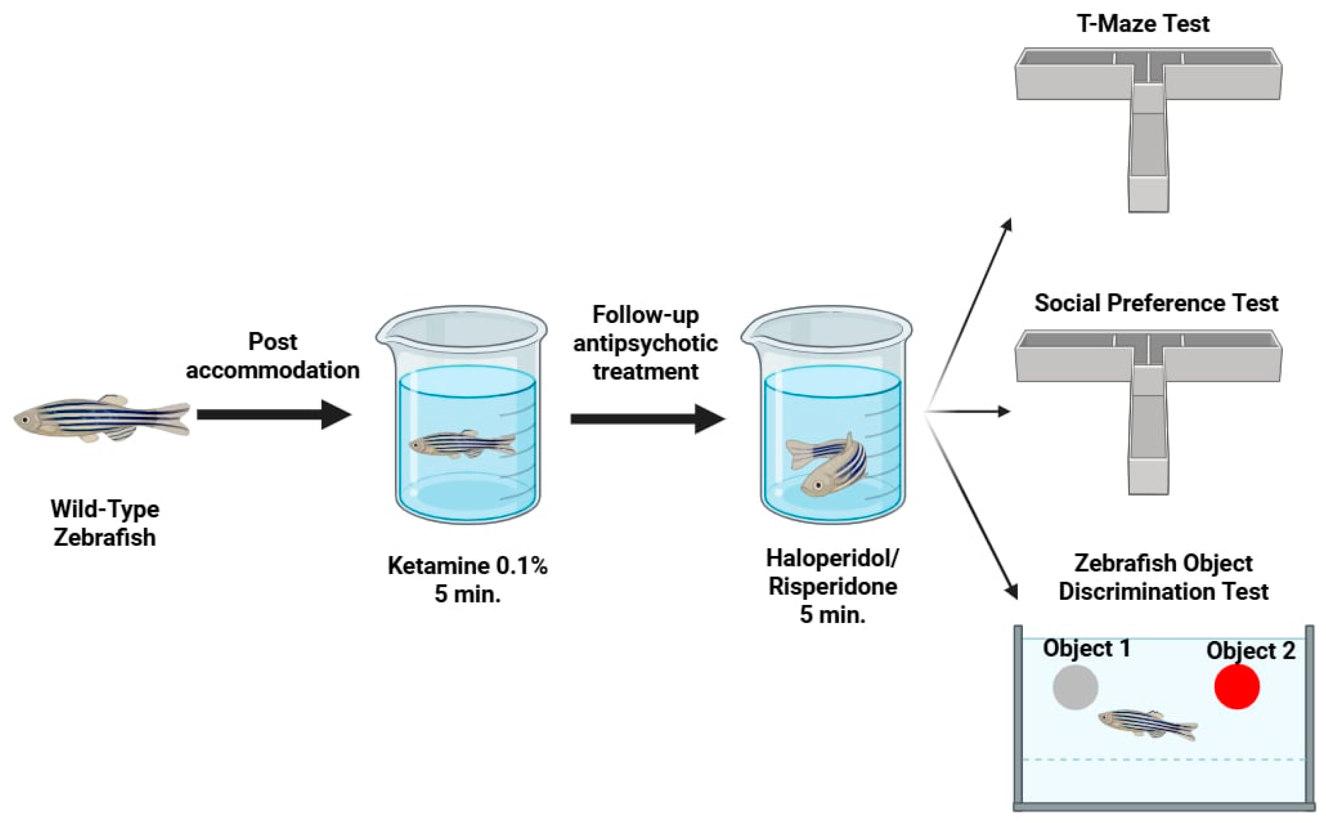 Pharmaceuticals 18 01548 g007 Pharmaceuticals 18 01548 g007