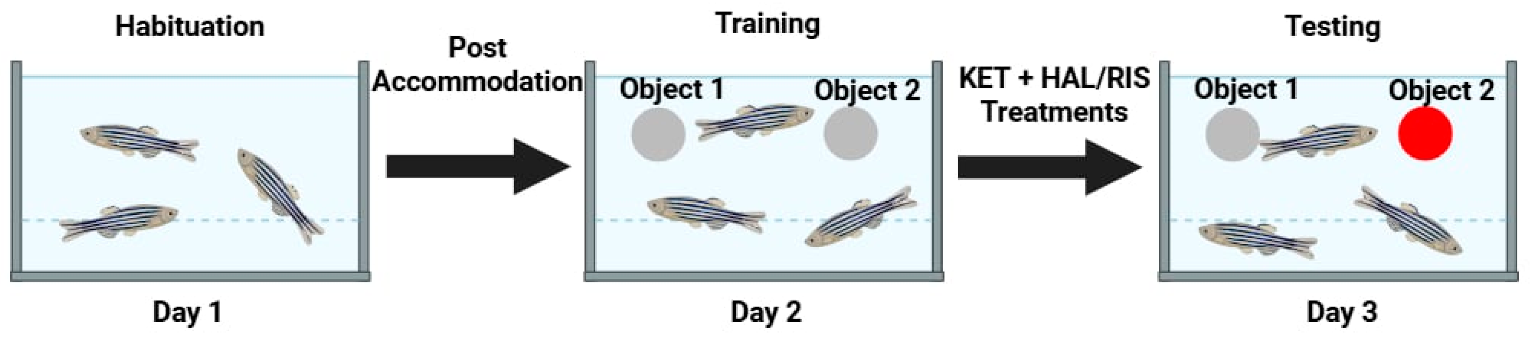 Pharmaceuticals 18 01548 g008 Pharmaceuticals 18 01548 g008