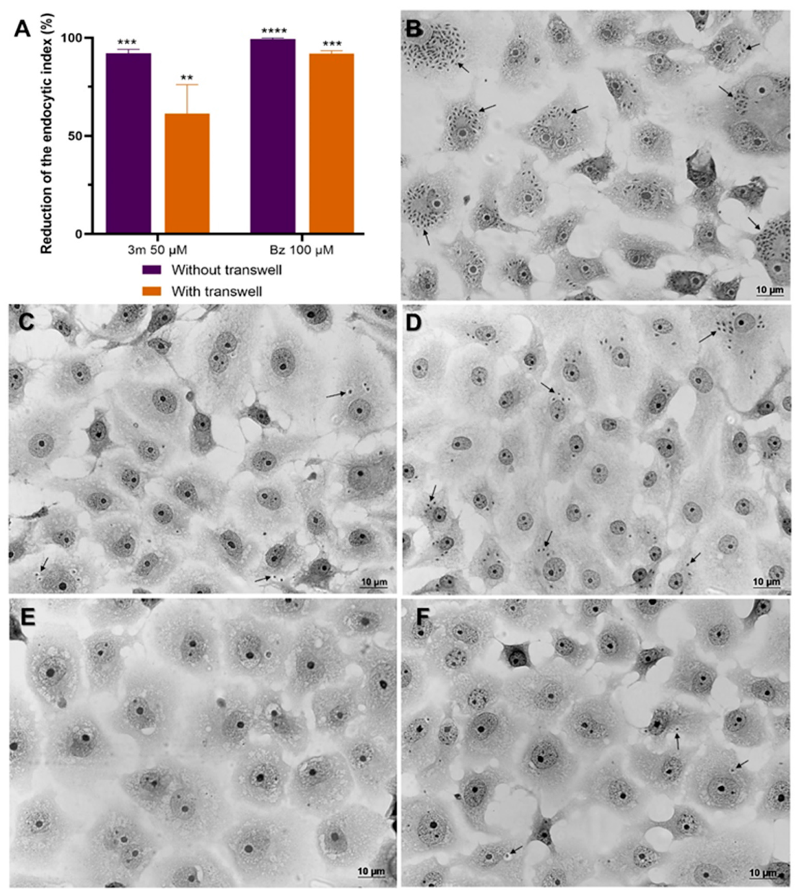 Pharmaceuticals 18 01552 g004