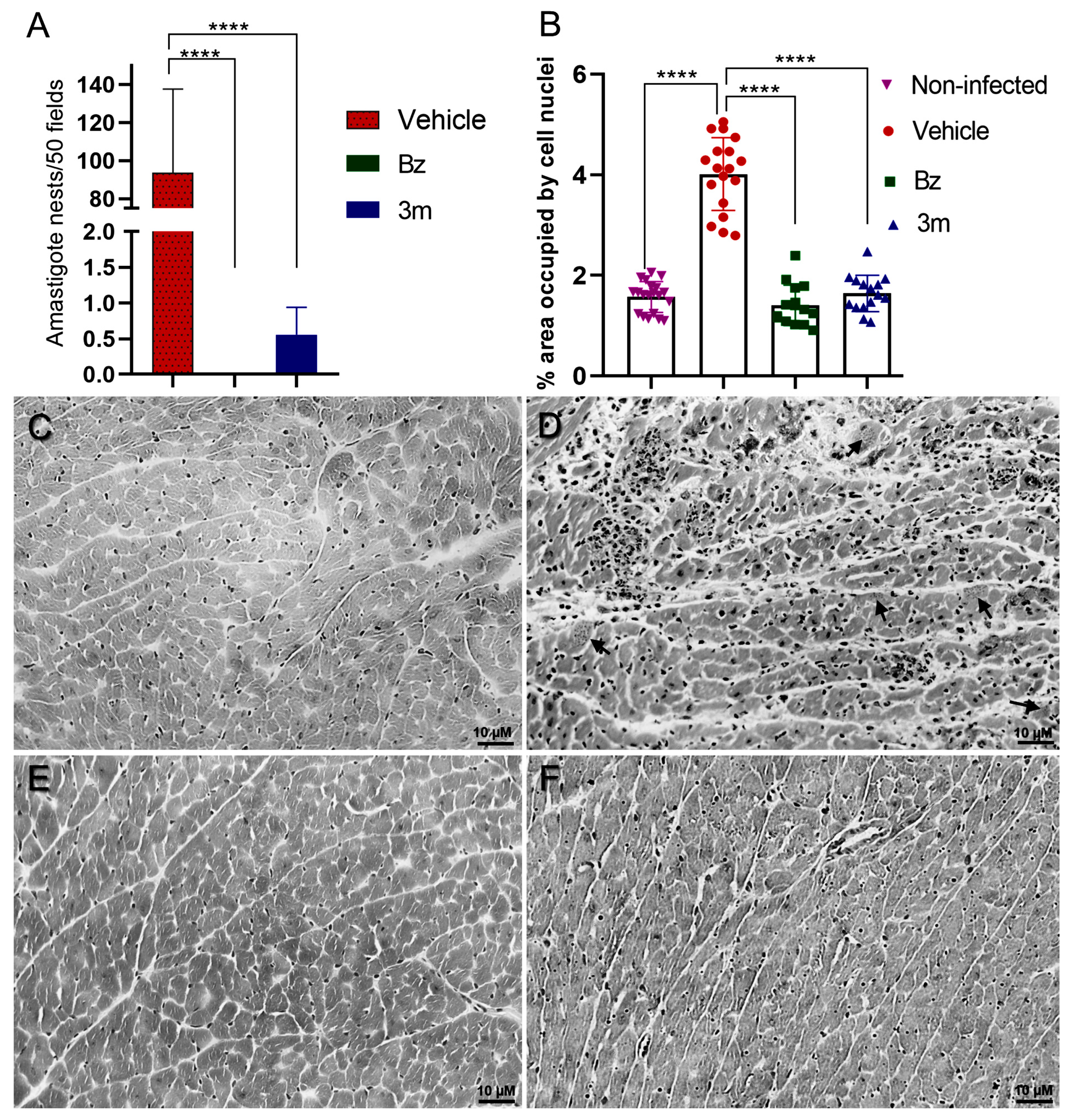 Pharmaceuticals 18 01552 g007