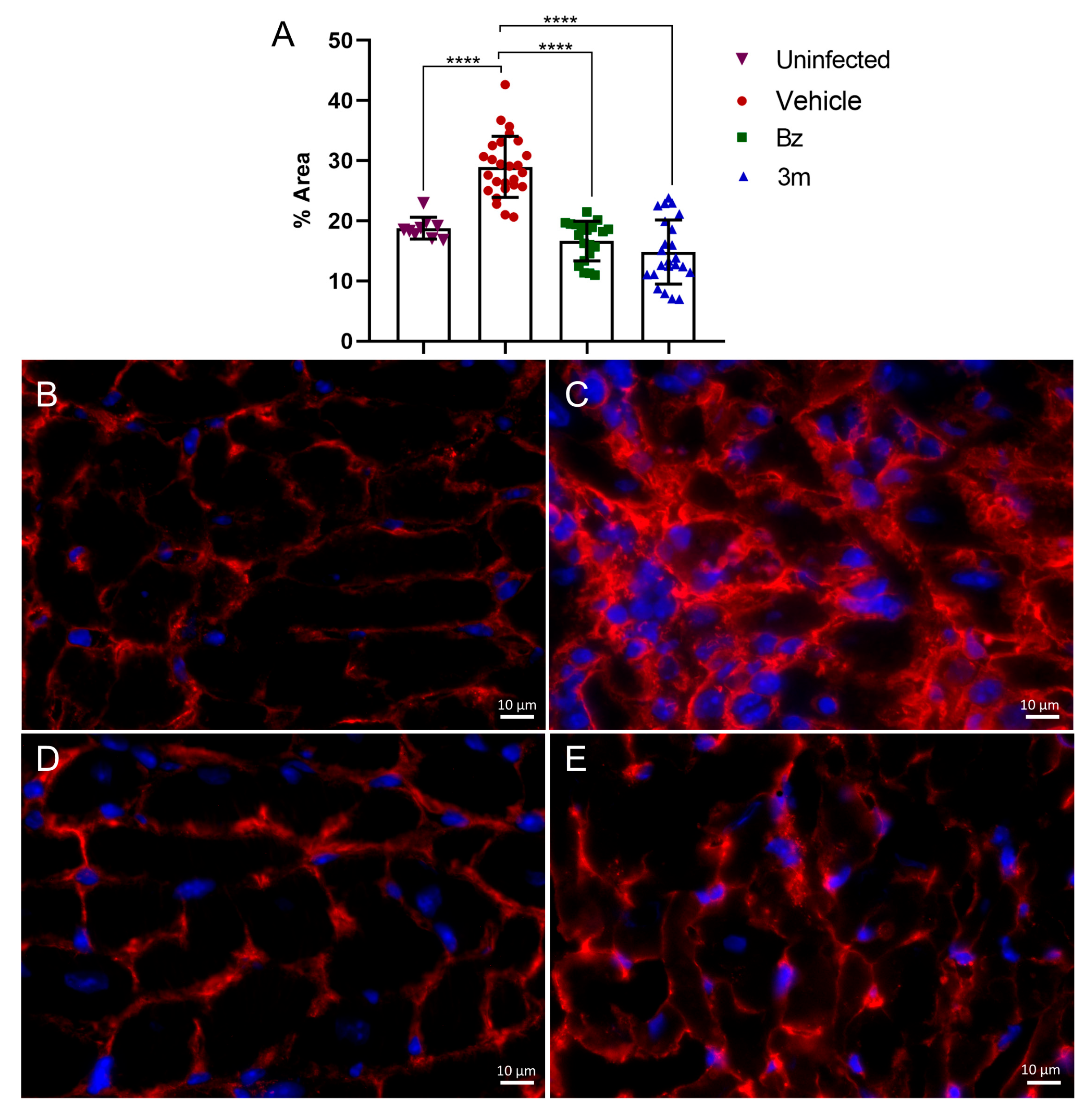 Pharmaceuticals 18 01552 g008