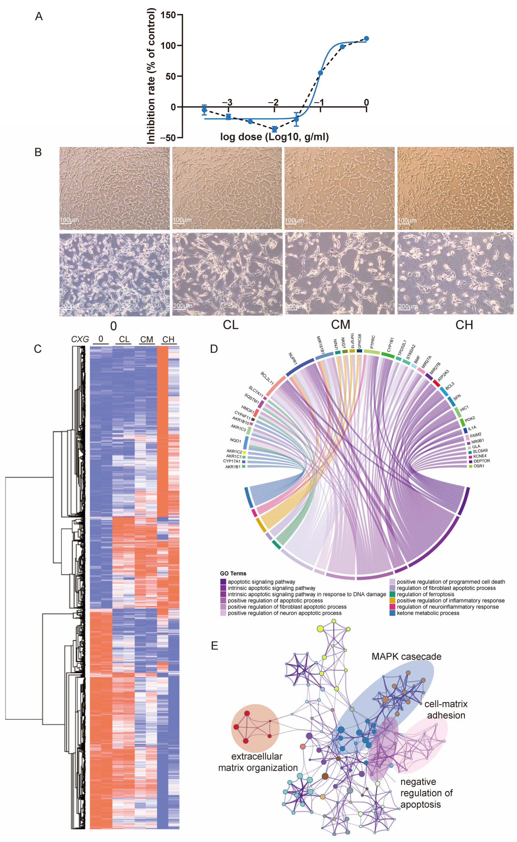 Pharmaceuticals 18 01553 g002
