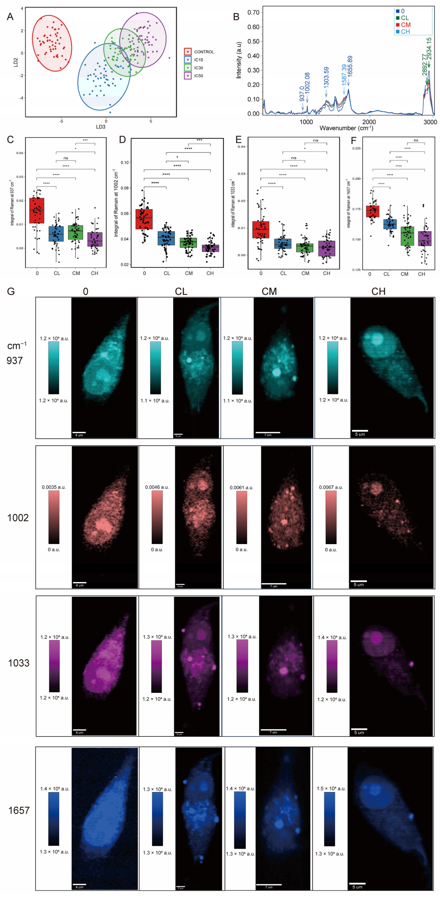 Pharmaceuticals 18 01553 g003