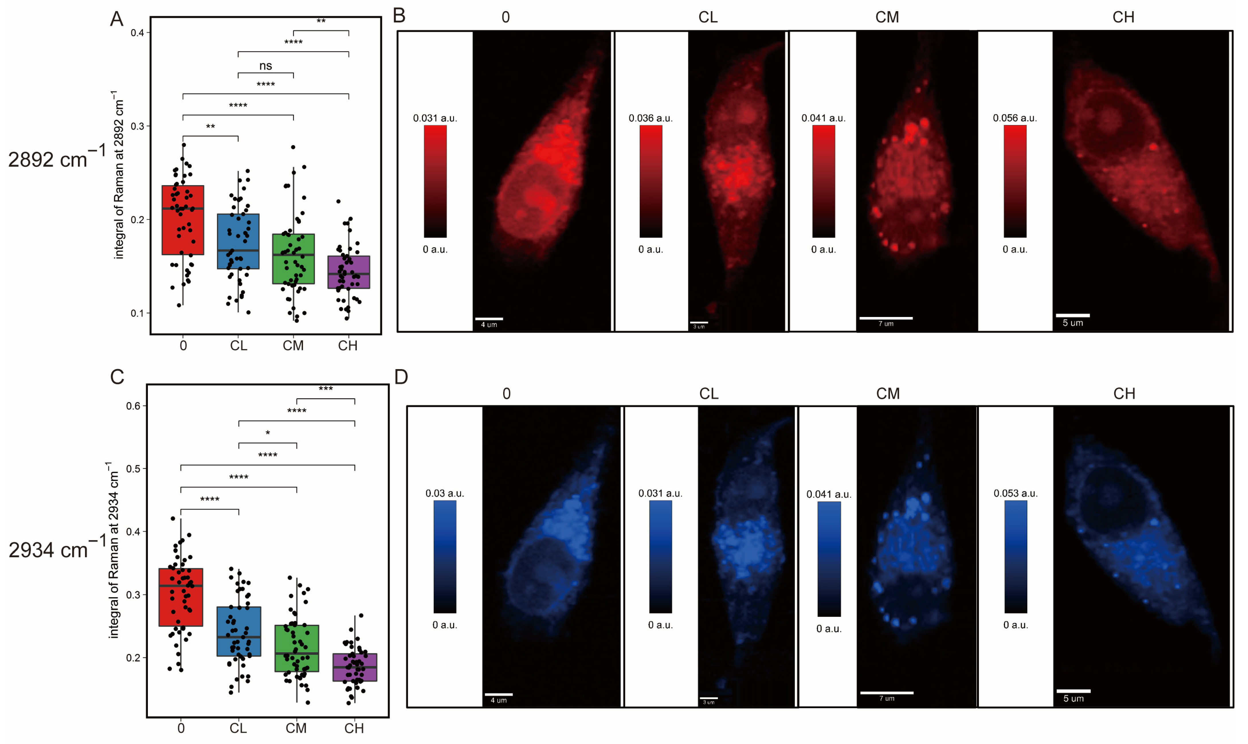 Pharmaceuticals 18 01553 g004