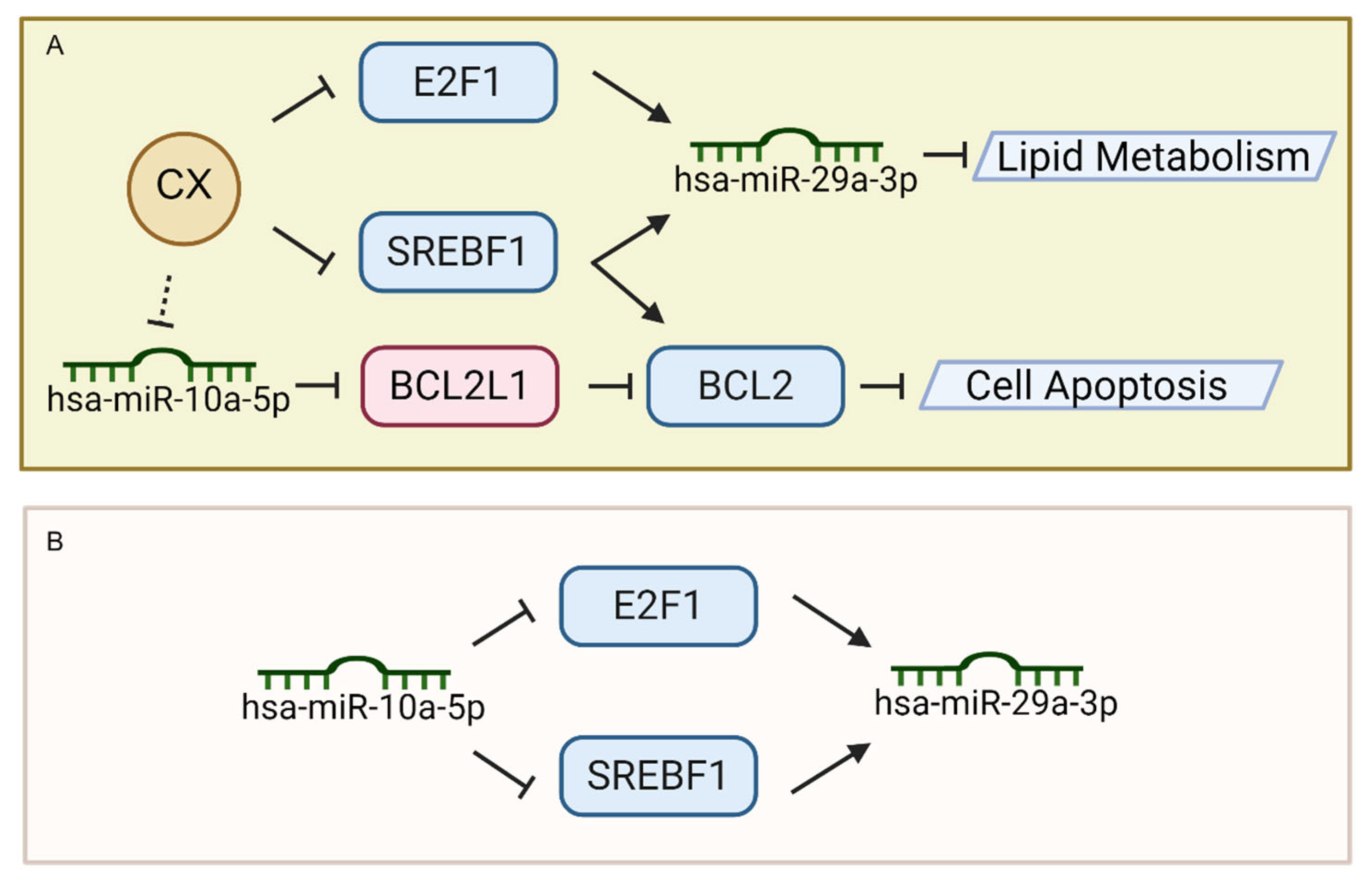 Pharmaceuticals 18 01553 g008