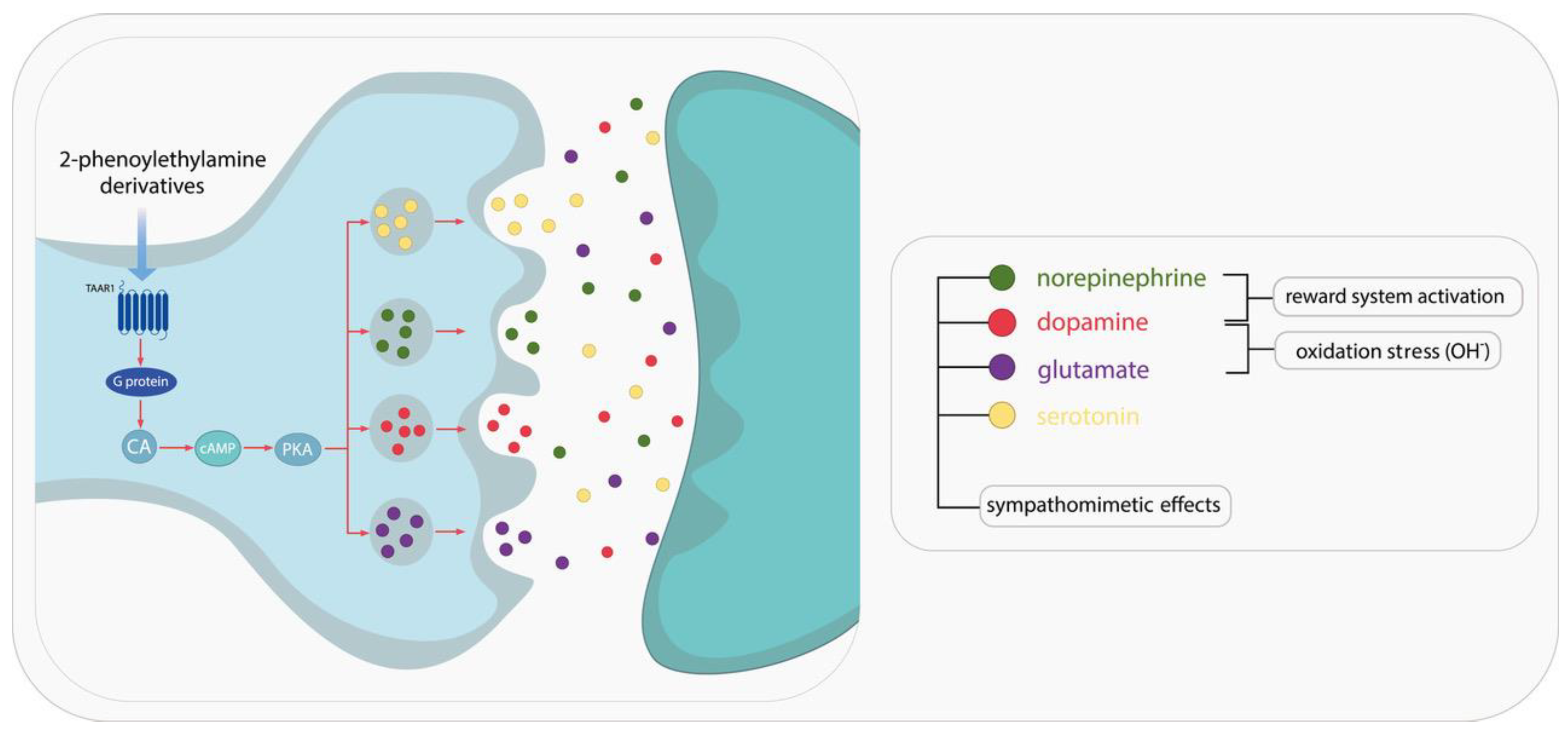 Pharmaceuticals 18 01555 g001 Pharmaceuticals 18 01555 g001