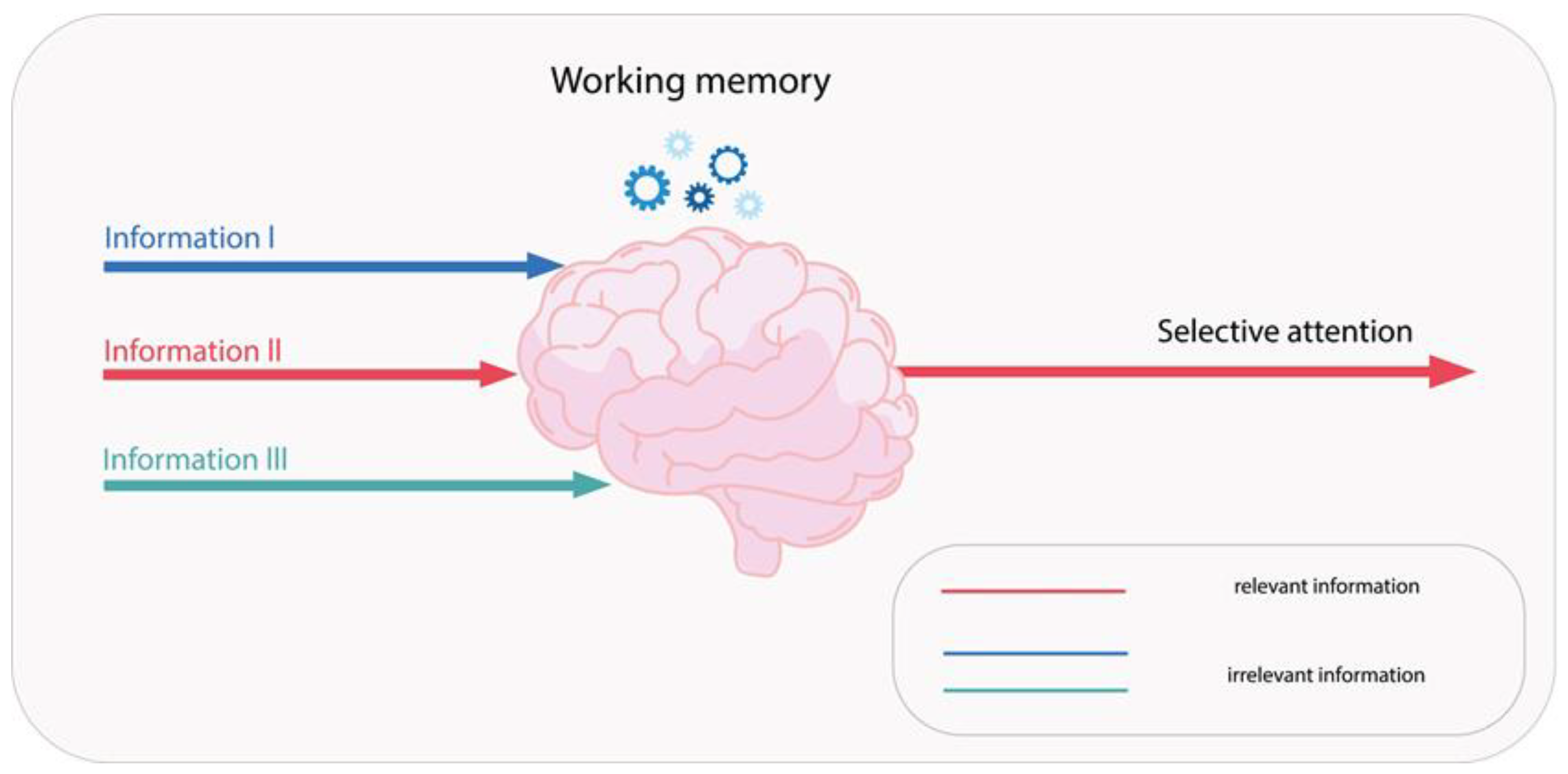 Pharmaceuticals 18 01555 g004 Pharmaceuticals 18 01555 g004