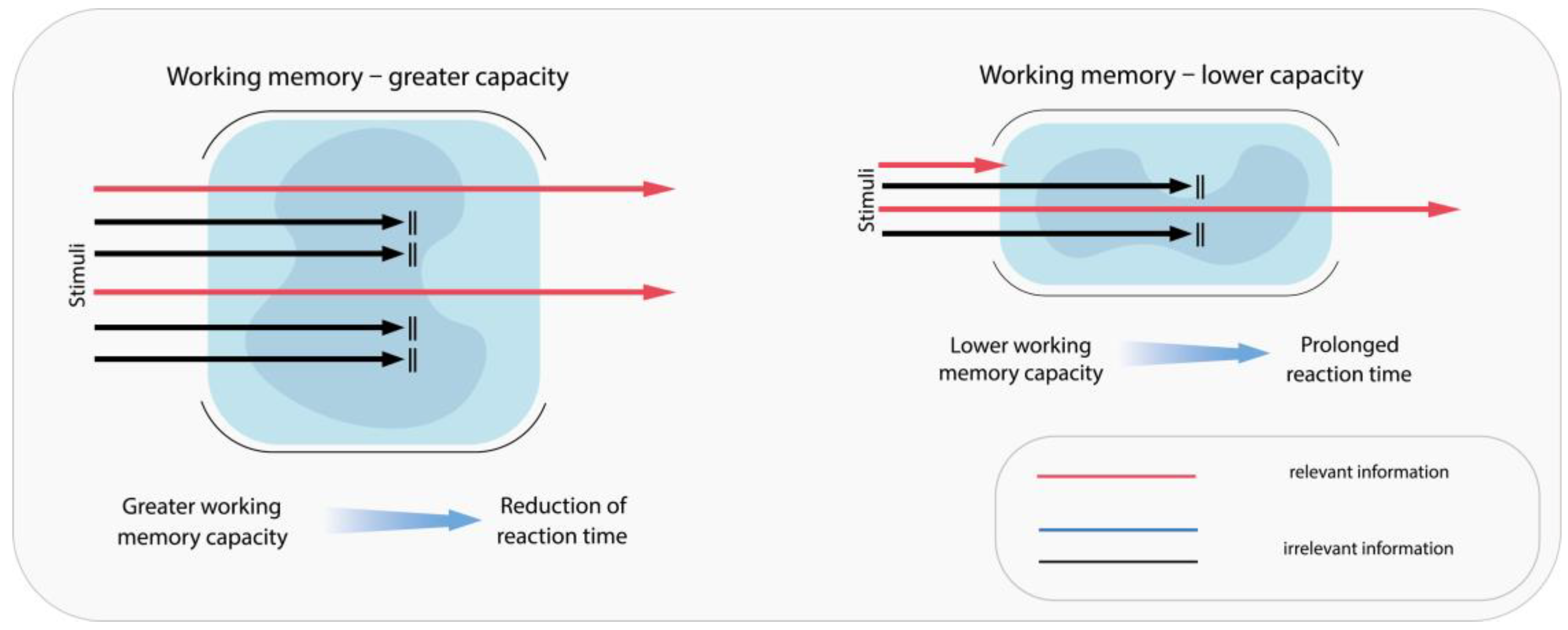 Pharmaceuticals 18 01555 g005 Pharmaceuticals 18 01555 g005