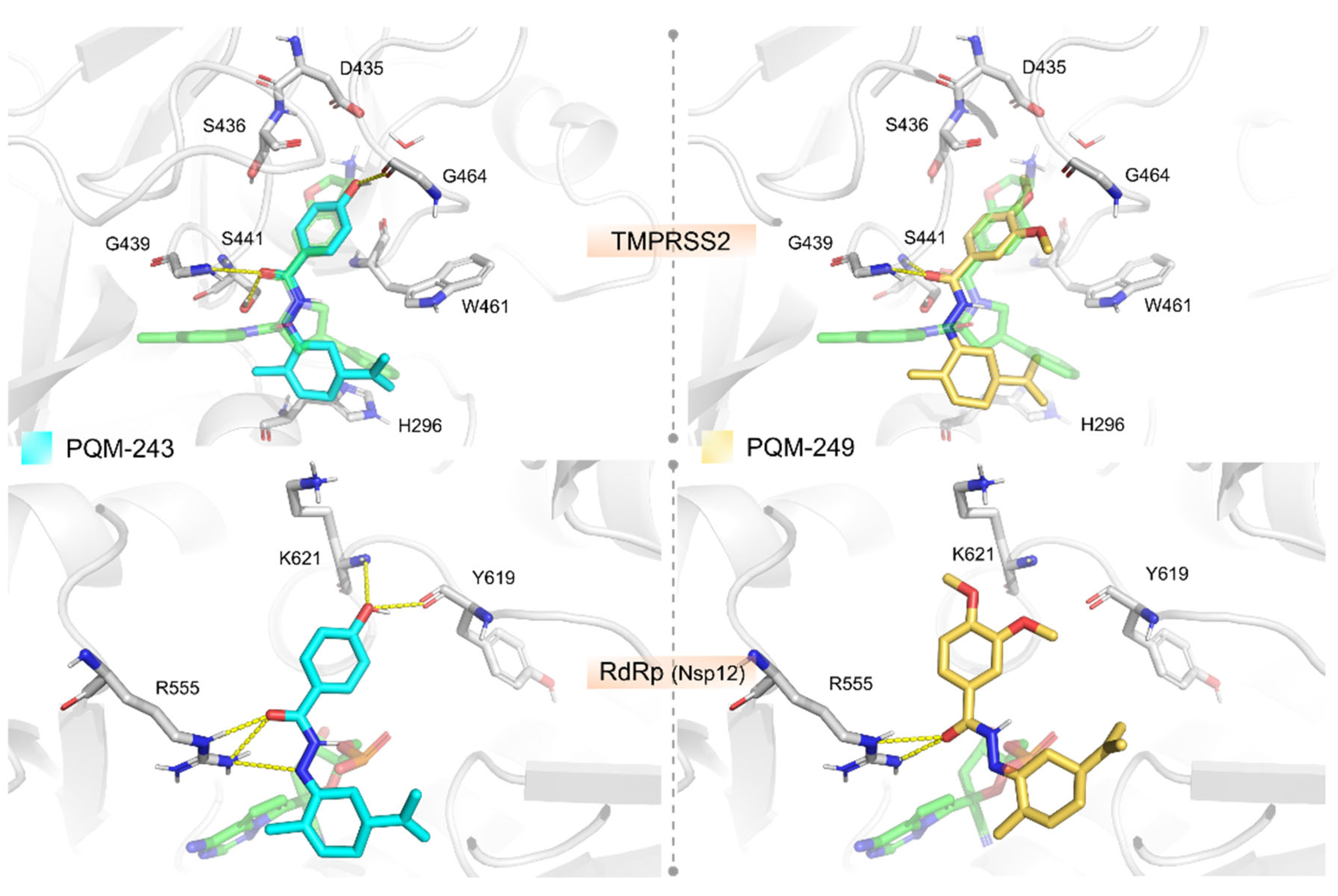 Pharmaceuticals 18 01565 g004