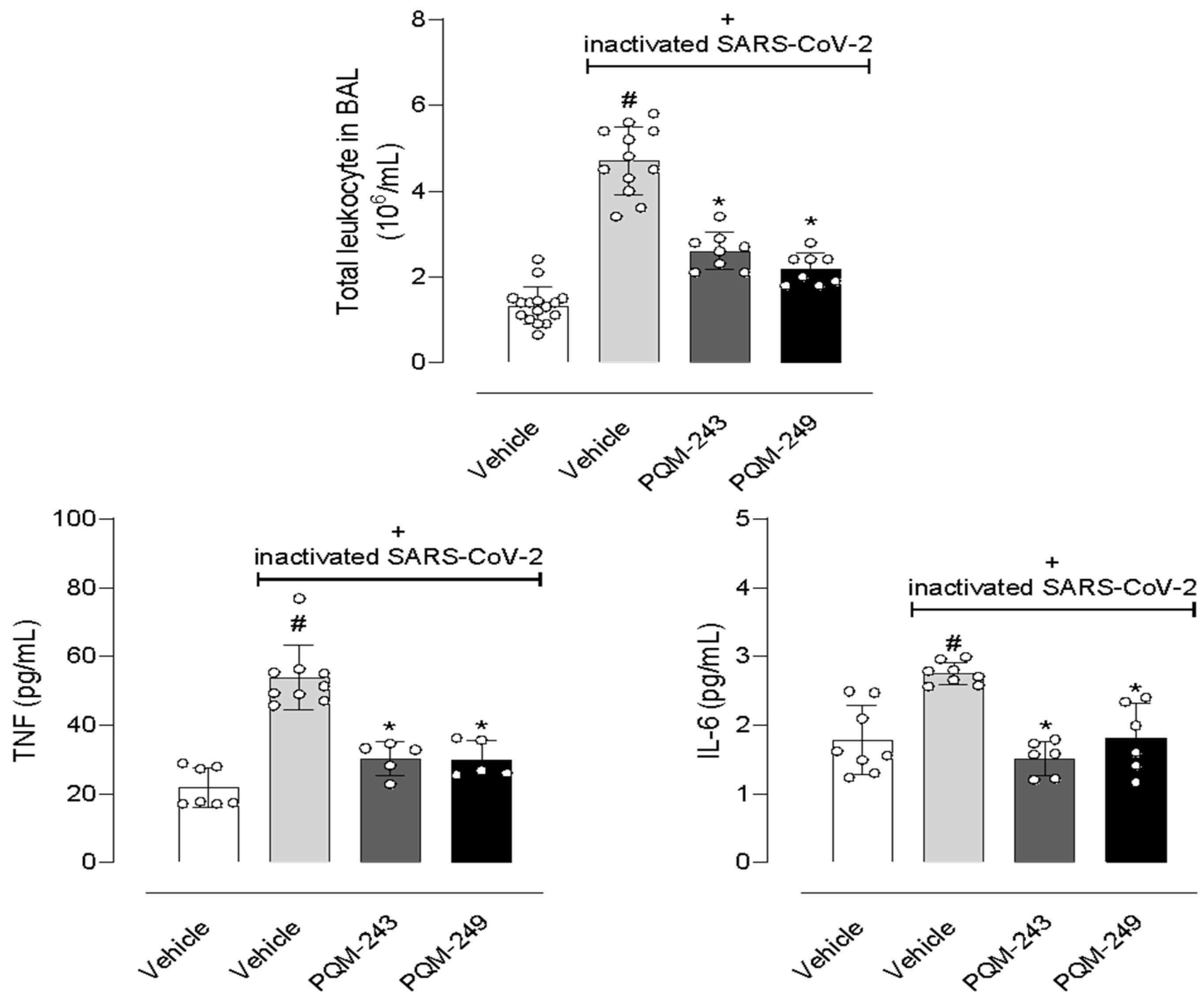 Pharmaceuticals 18 01565 g006