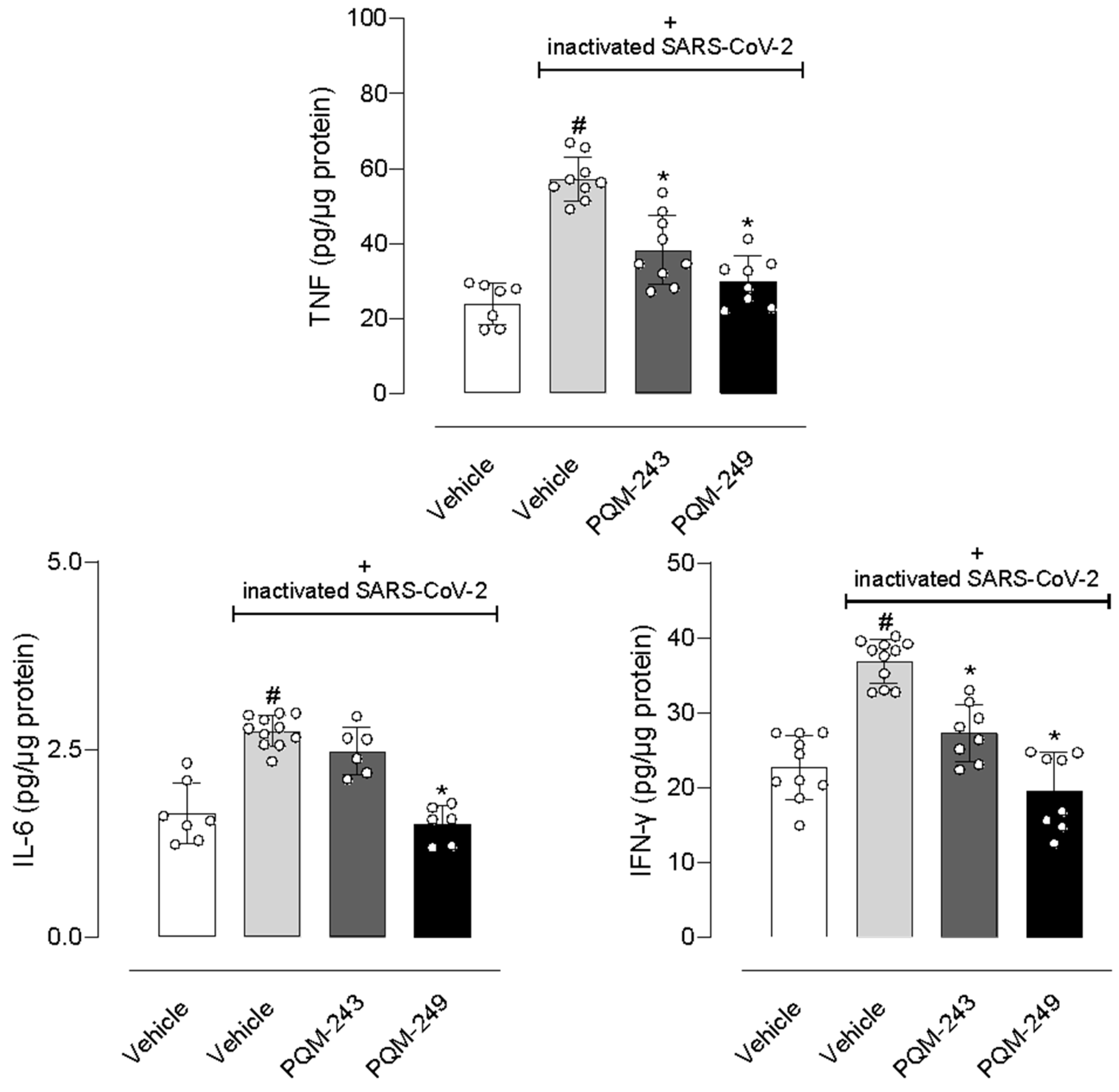 Pharmaceuticals 18 01565 g007