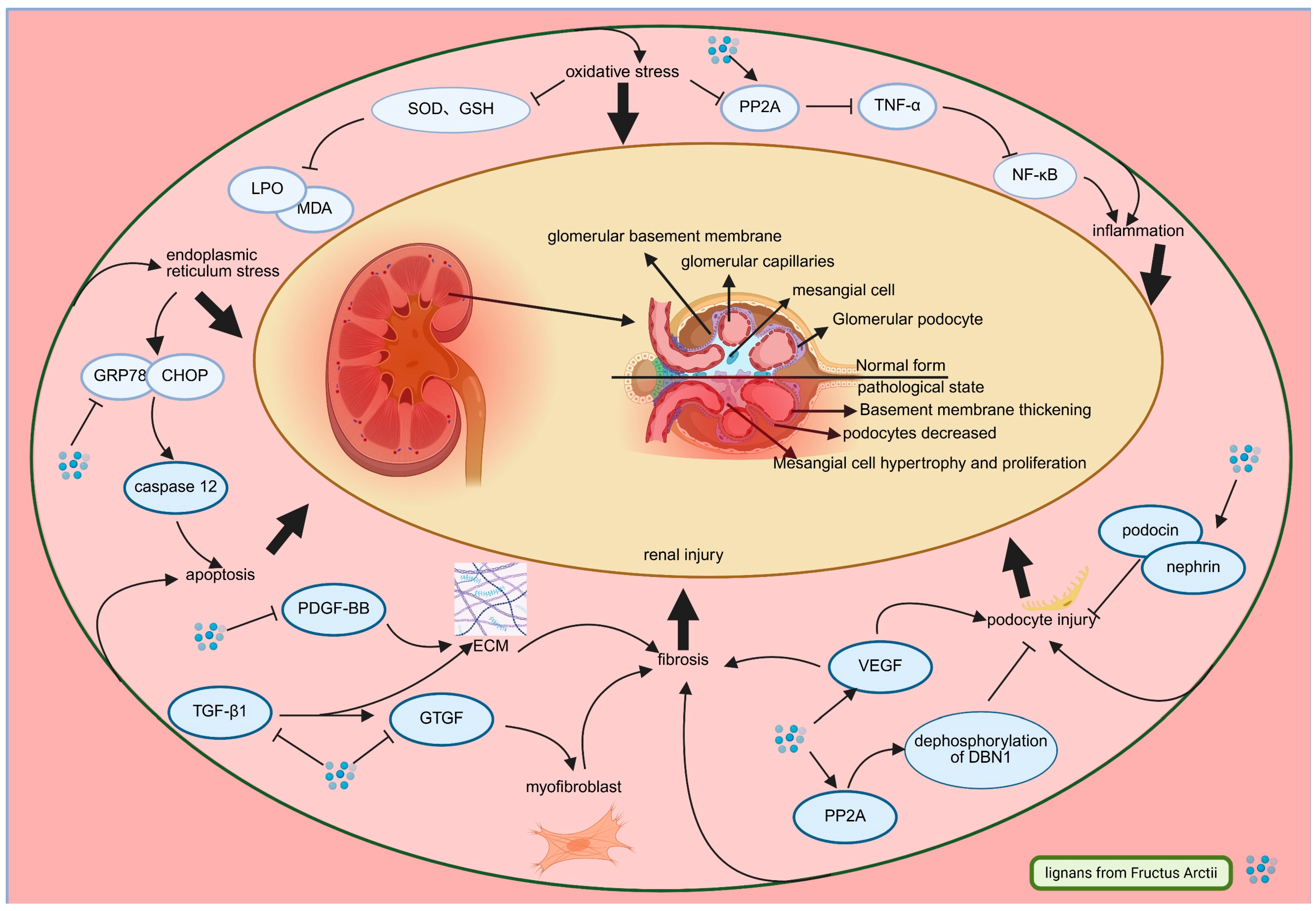 Pharmaceuticals 18 01569 g004