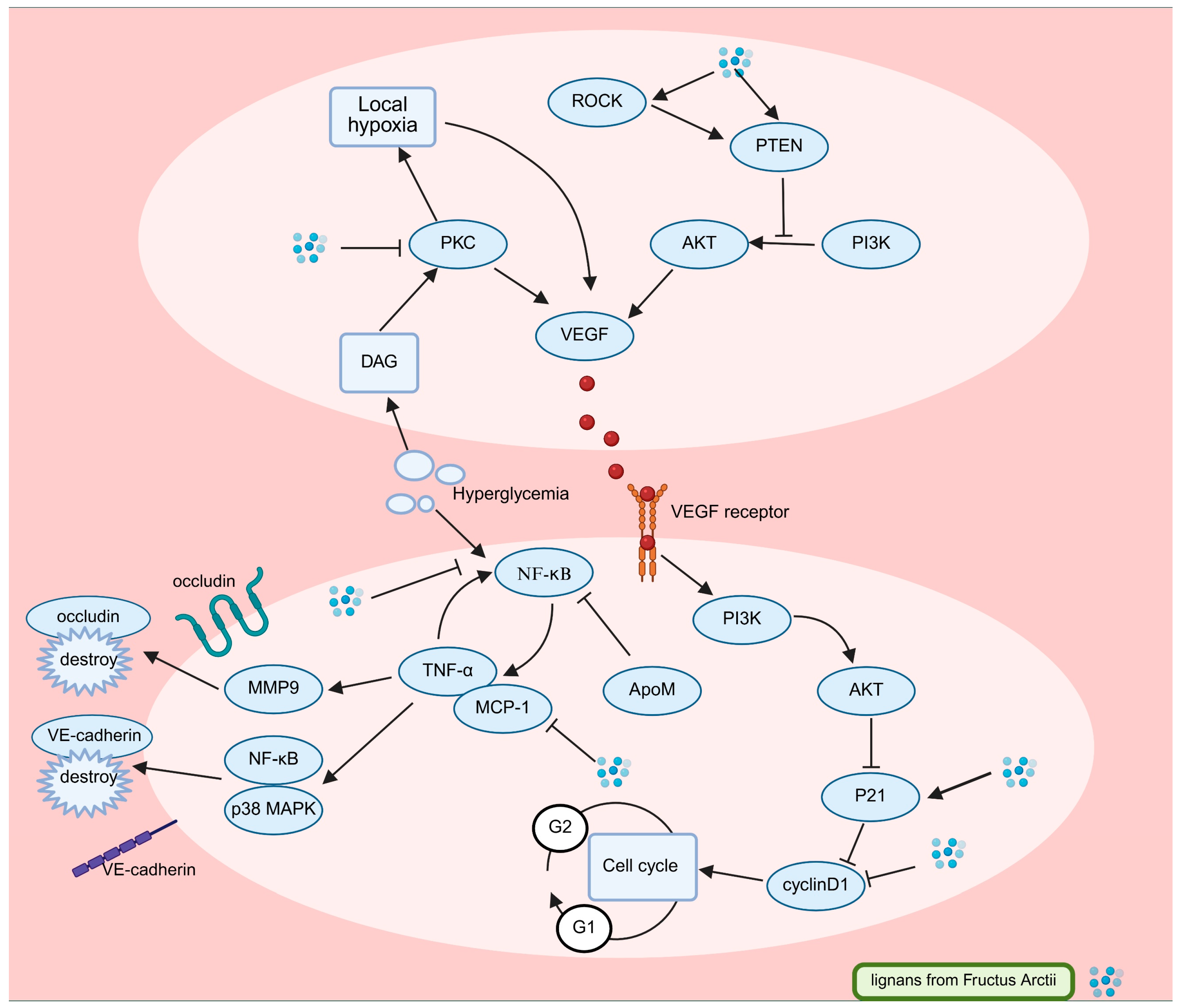 Pharmaceuticals 18 01569 g005