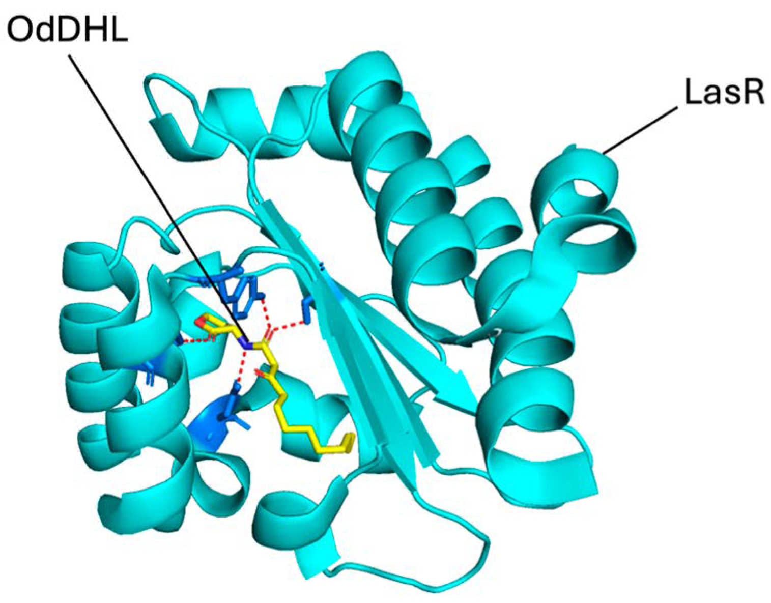 Pharmaceuticals 18 01572 g002