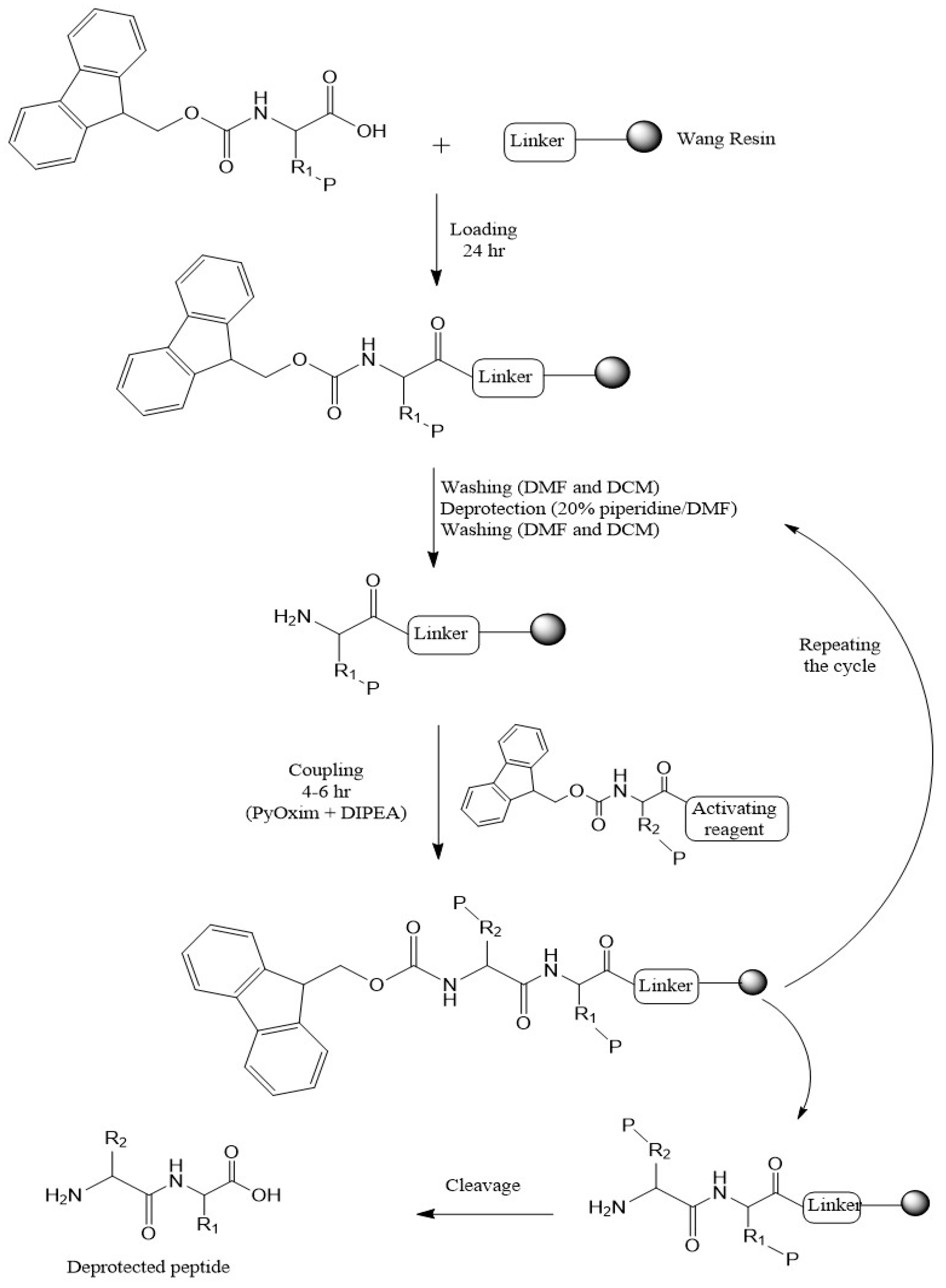Pharmaceuticals 18 01572 sch001