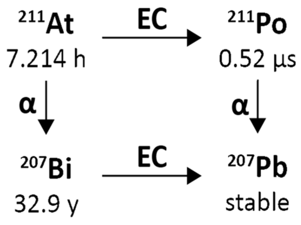 Pharmaceuticals 18 01578 g006