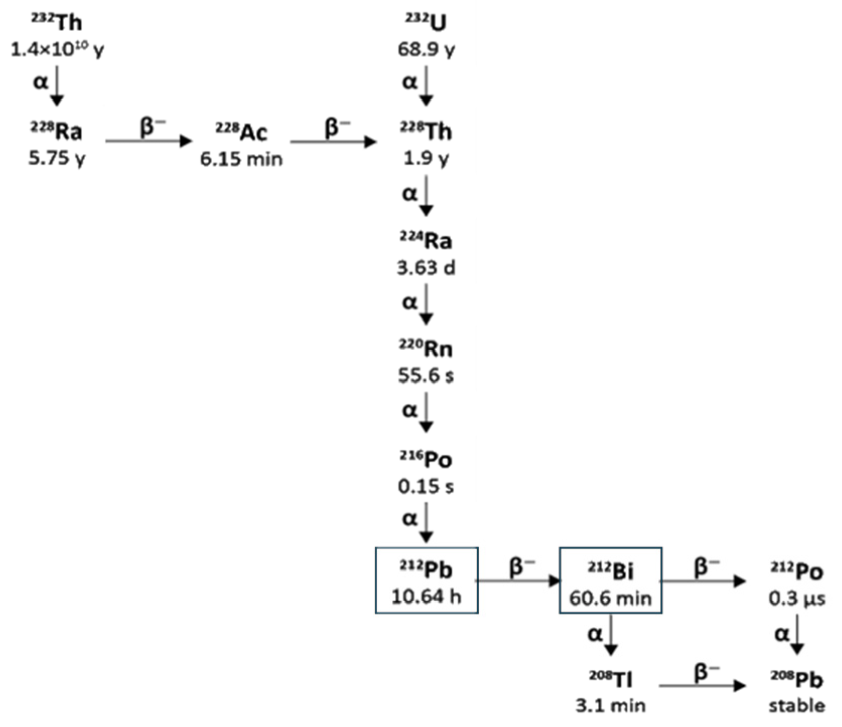 Pharmaceuticals 18 01578 g007