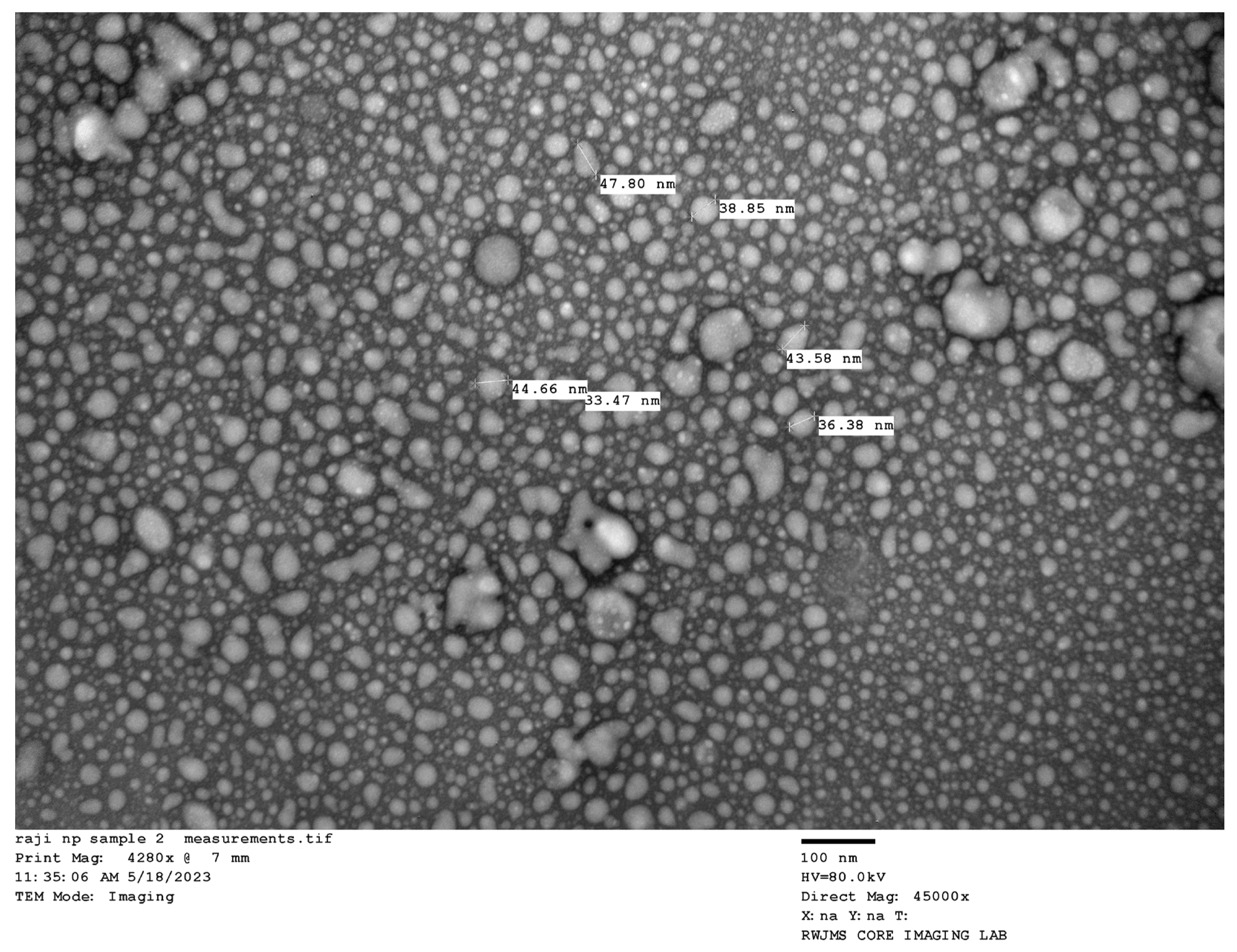 Pharmaceuticals 18 01585 g003