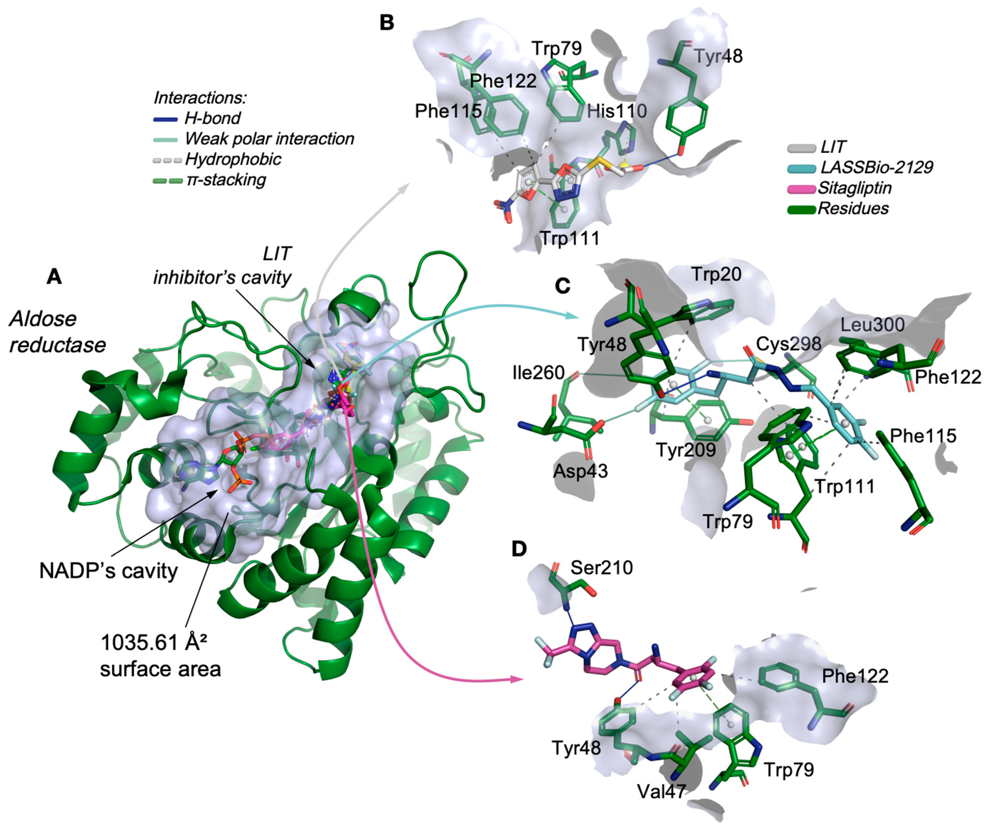 Pharmaceuticals 18 01589 g006