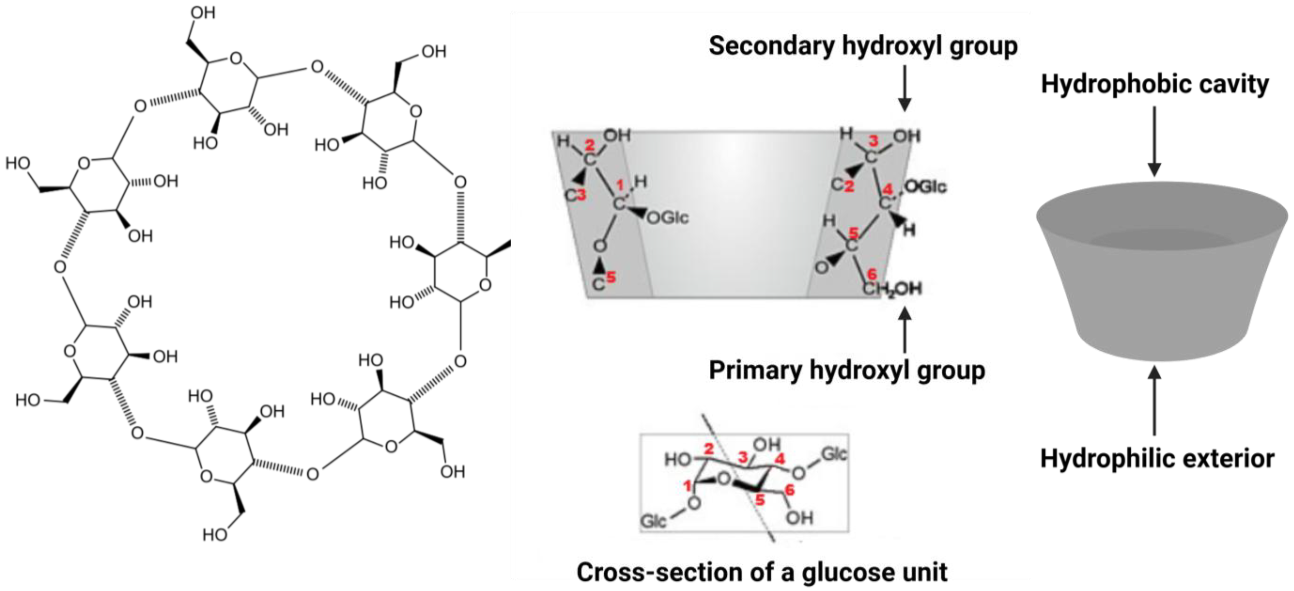 Pharmaceuticals 18 01592 g001 Pharmaceuticals 18 01592 g001