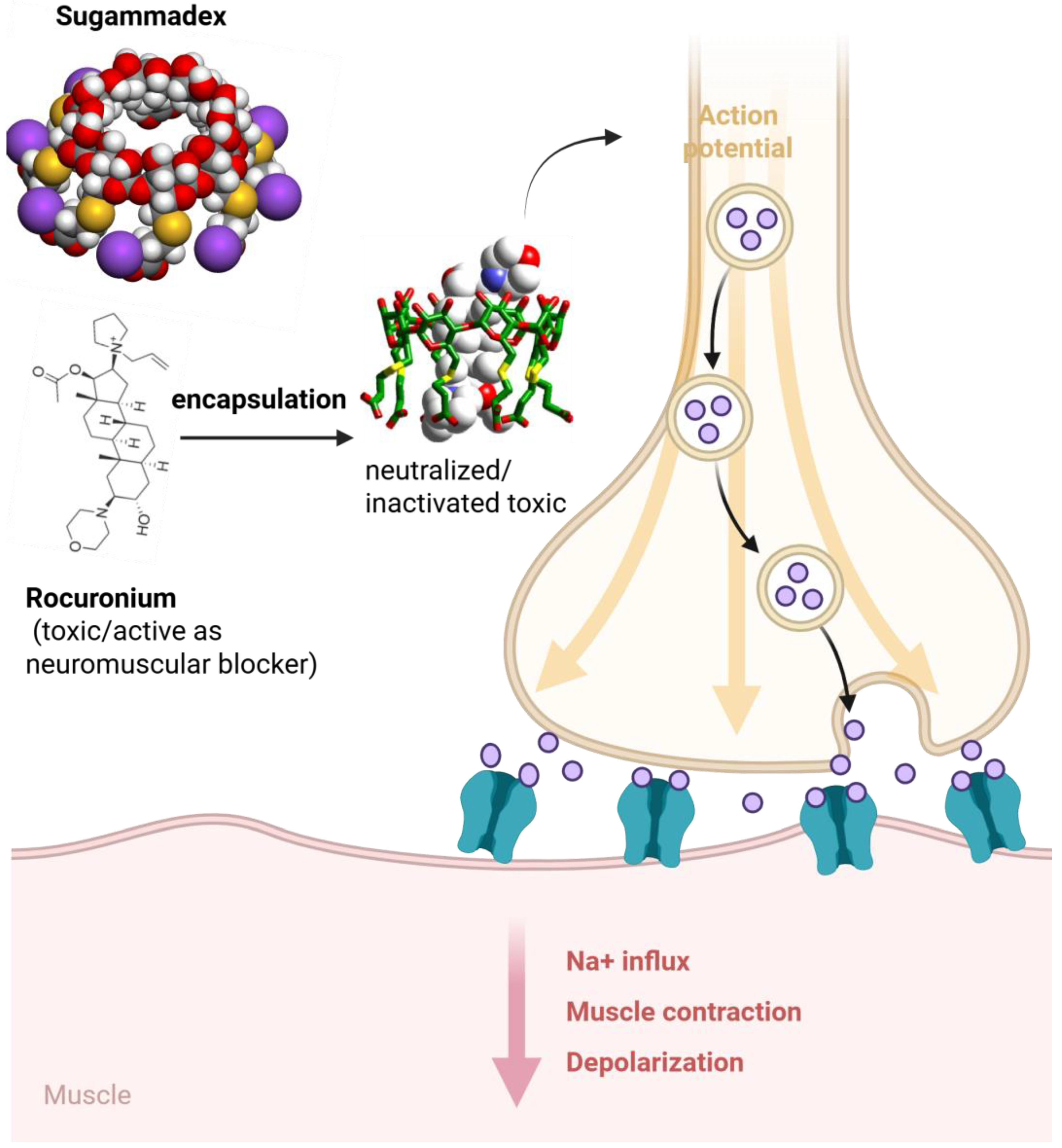 Pharmaceuticals 18 01592 g002 Pharmaceuticals 18 01592 g002
