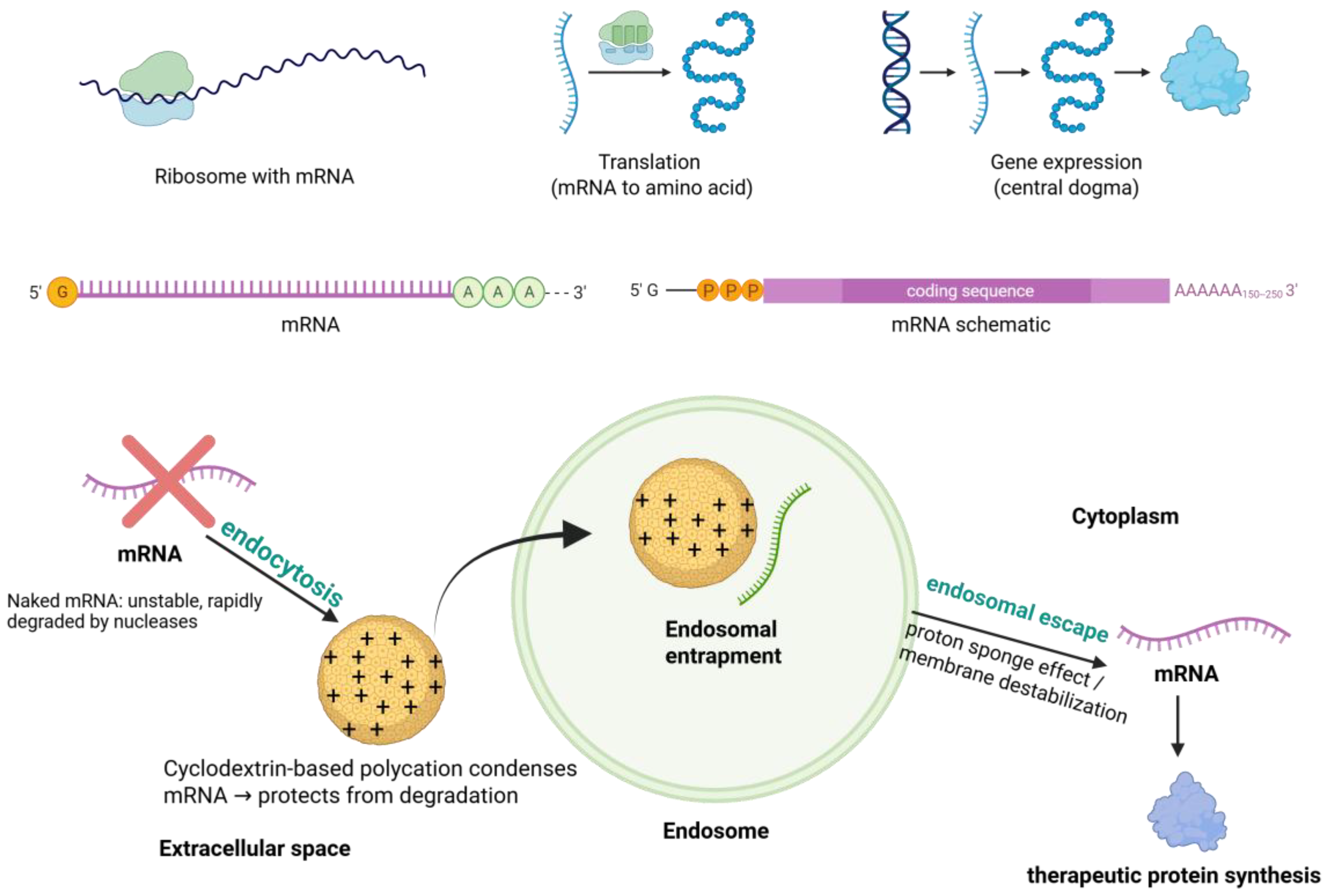 Pharmaceuticals 18 01592 g004 Pharmaceuticals 18 01592 g004