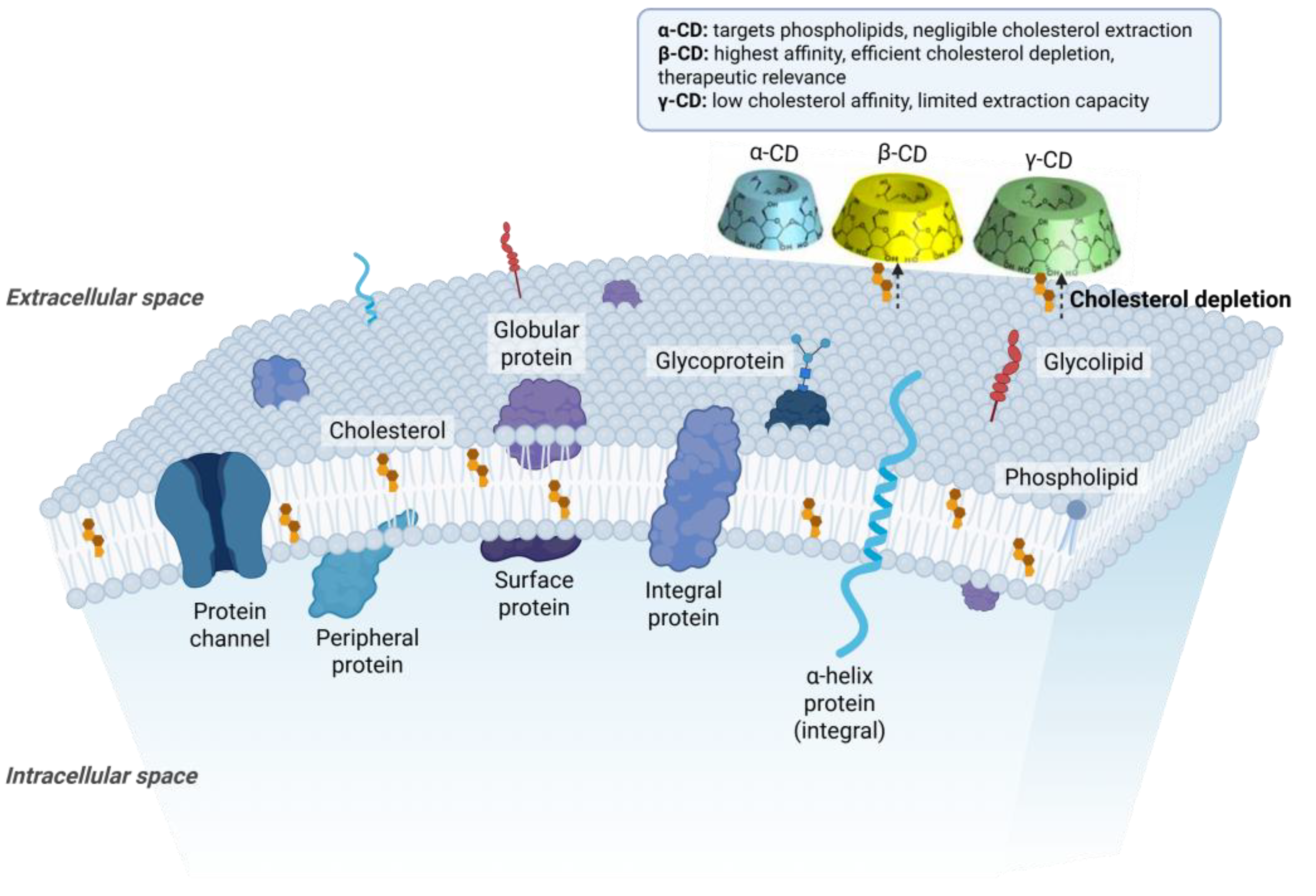 Pharmaceuticals 18 01592 g005 Pharmaceuticals 18 01592 g005