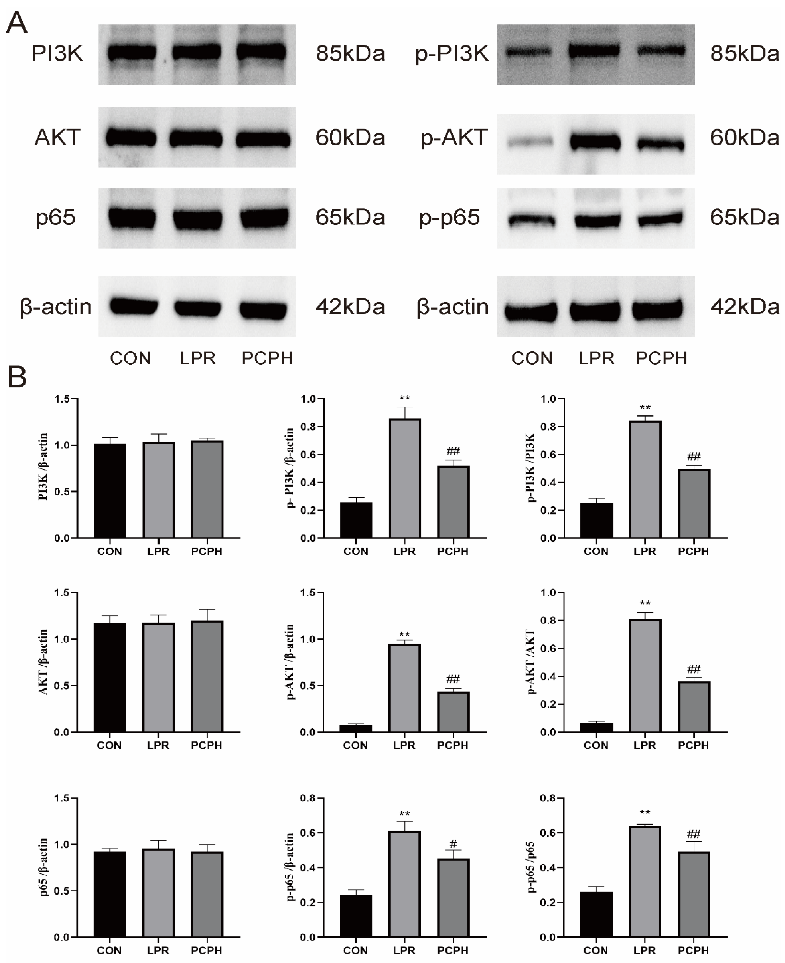 Pharmaceuticals 18 01619 g006