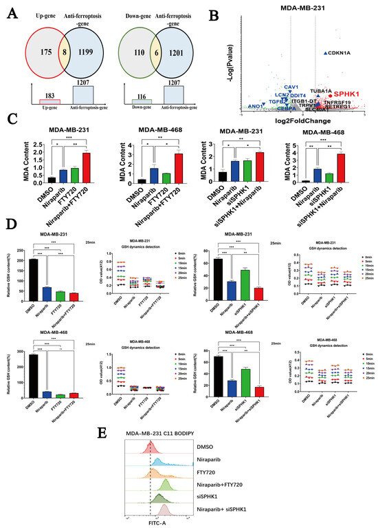 The SP1-SuperEnhancer-SPHK1 Axis Mediates Niraparib Resistance in TNBC