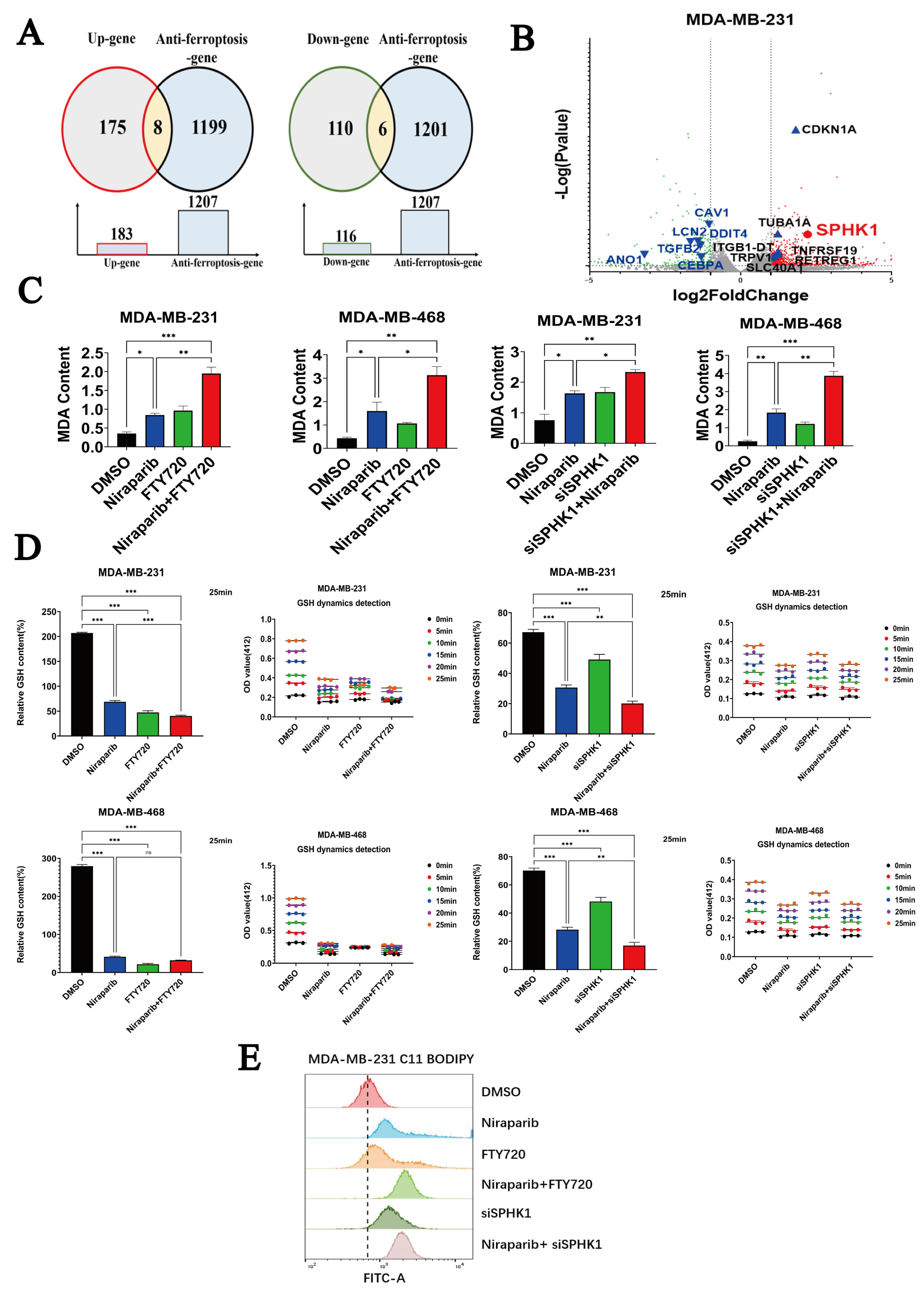 Pharmaceuticals 18 01622 g003 Pharmaceuticals 18 01622 g003