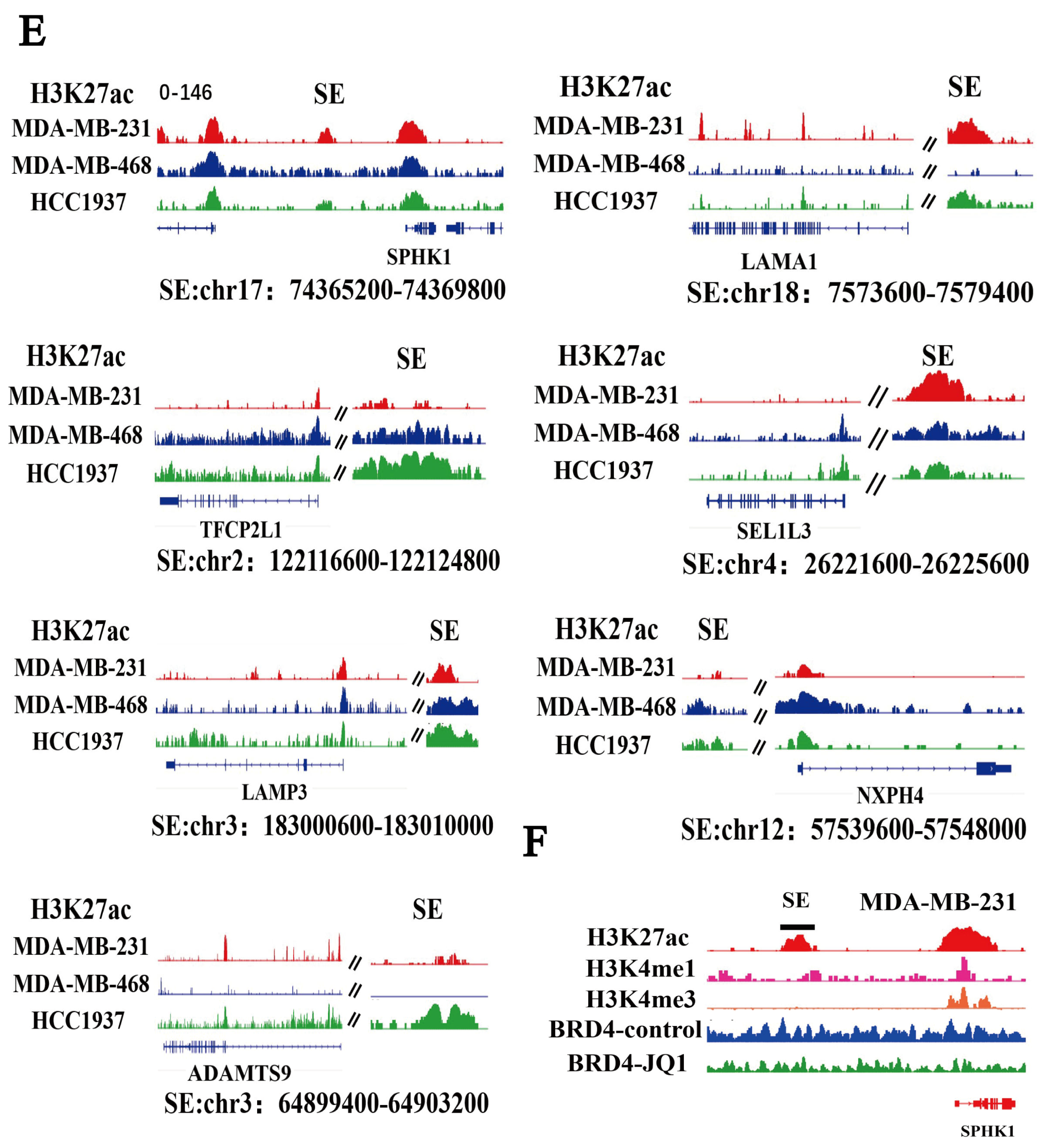 Pharmaceuticals 18 01622 g005b Pharmaceuticals 18 01622 g005b