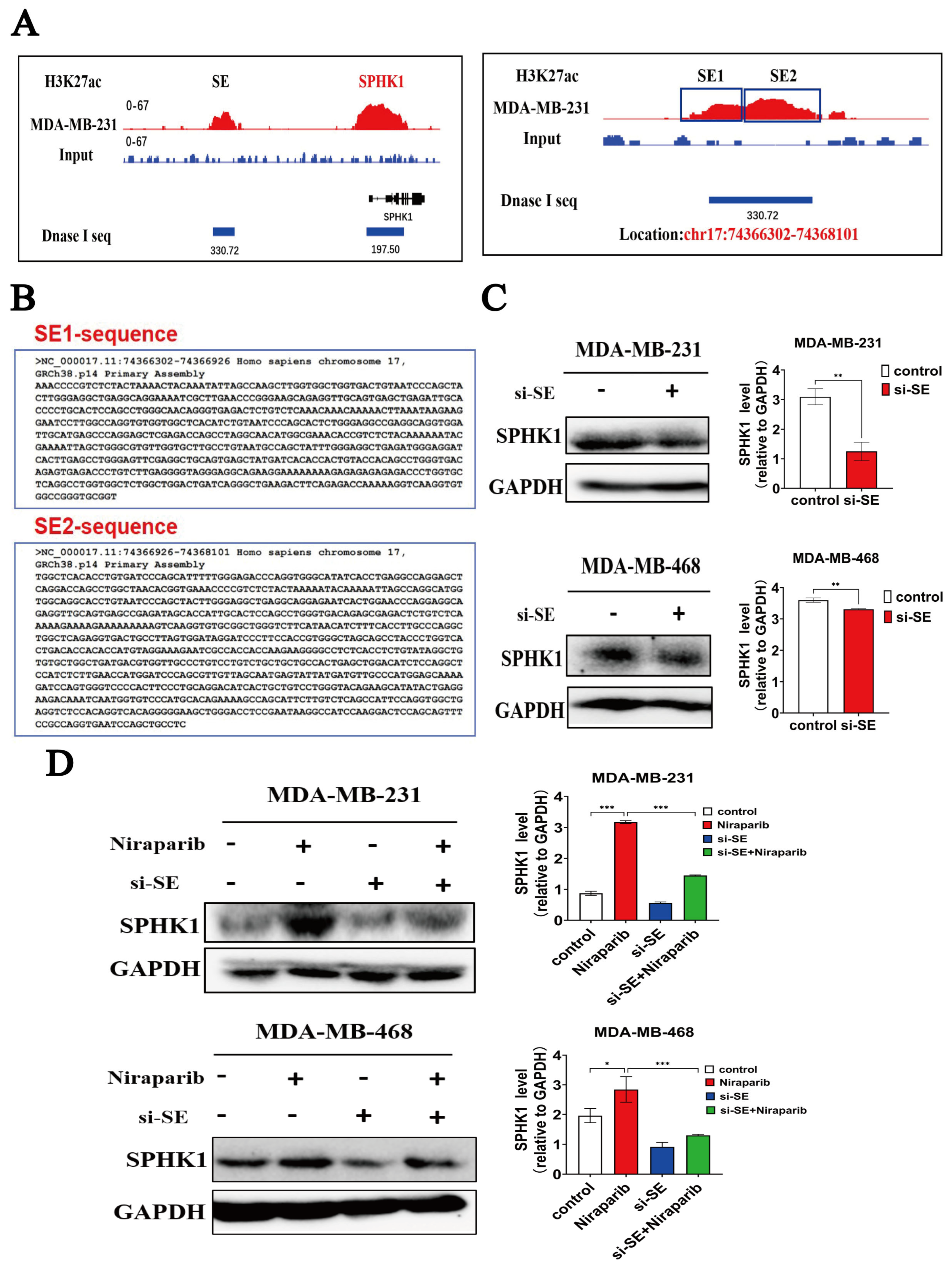Pharmaceuticals 18 01622 g006 Pharmaceuticals 18 01622 g006