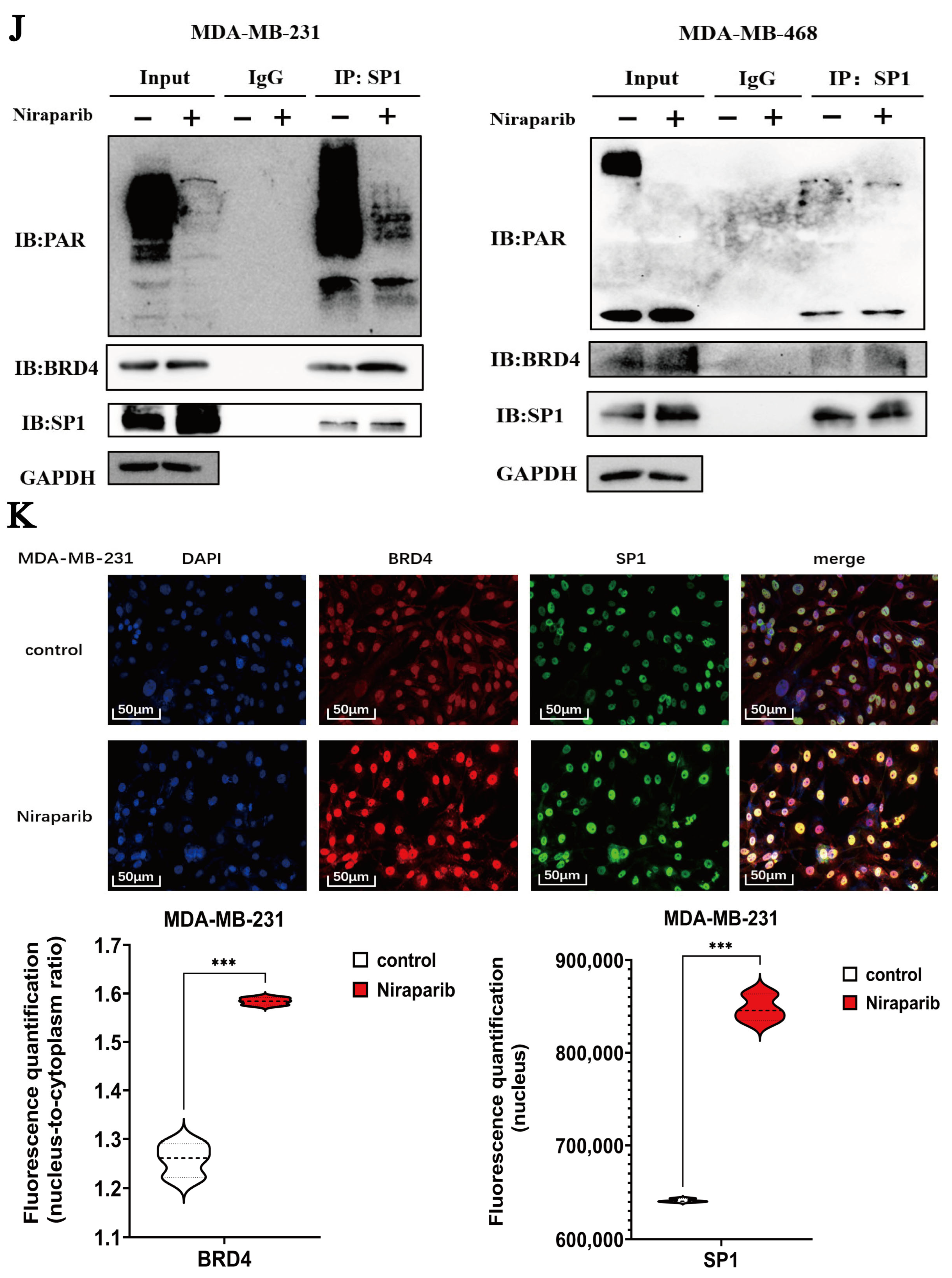 Pharmaceuticals 18 01622 g007c Pharmaceuticals 18 01622 g007c
