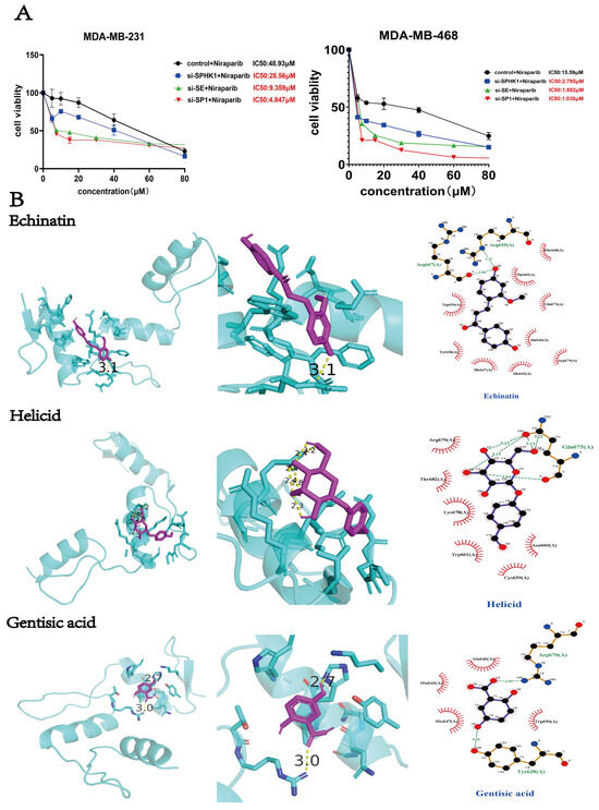 The SP1-SuperEnhancer-SPHK1 Axis Mediates Niraparib Resistance in TNBC