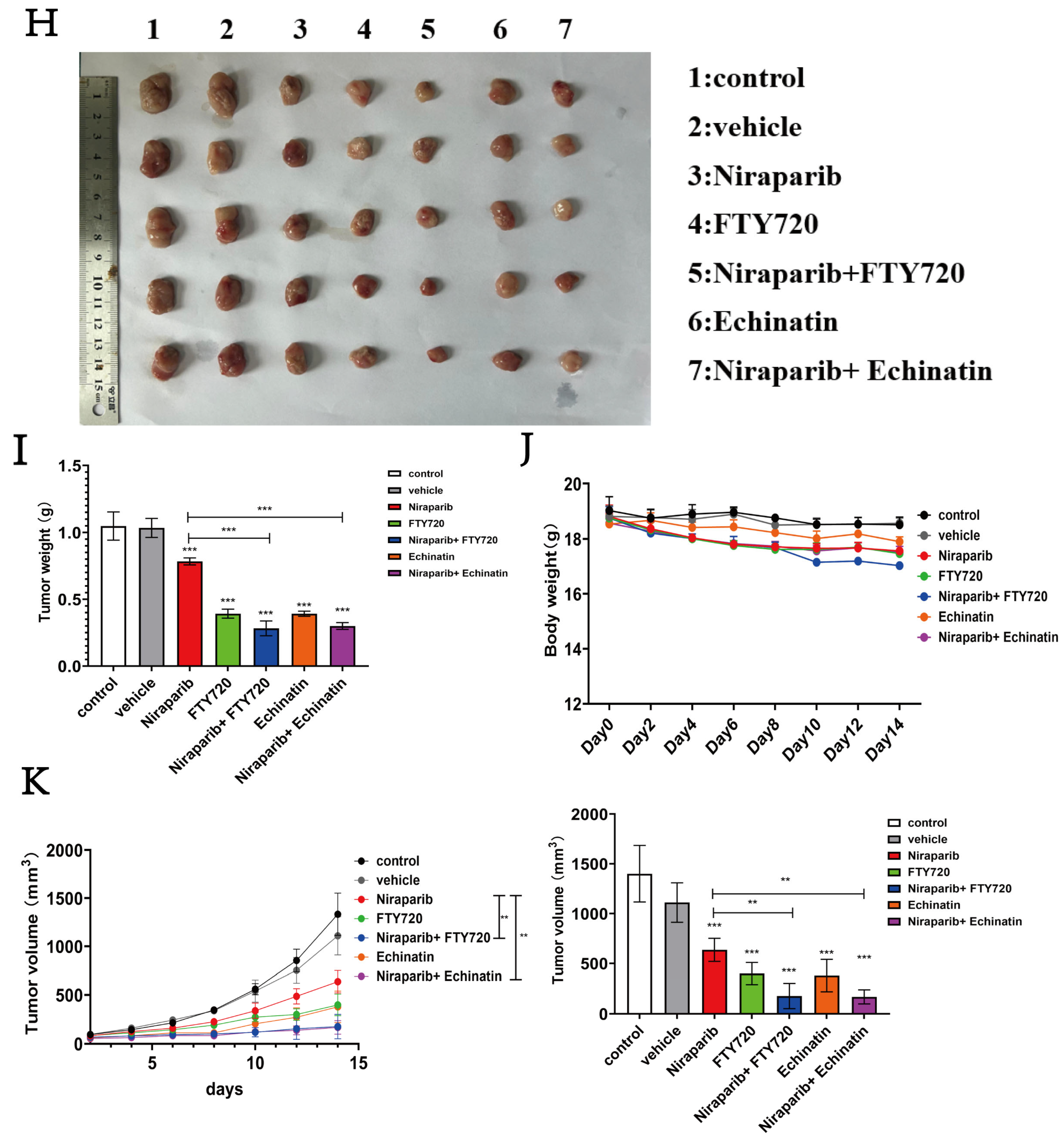 Pharmaceuticals 18 01622 g008d Pharmaceuticals 18 01622 g008d