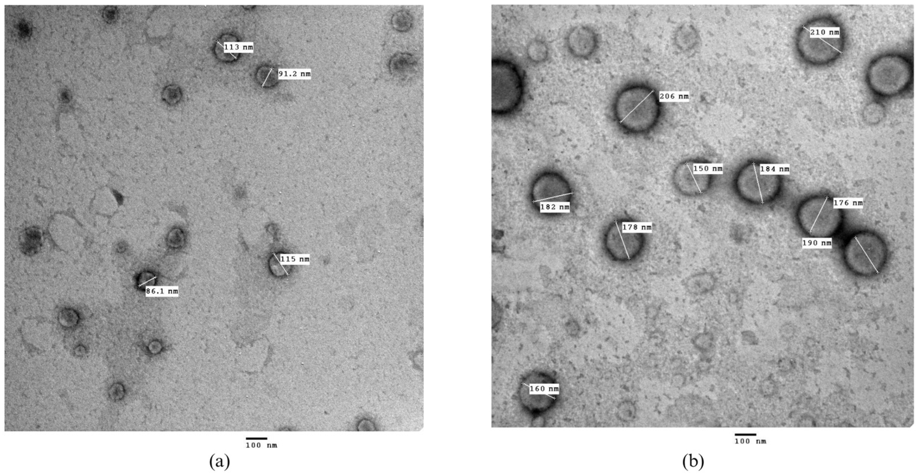 Pharmaceuticals 18 01623 g003 Pharmaceuticals 18 01623 g003
