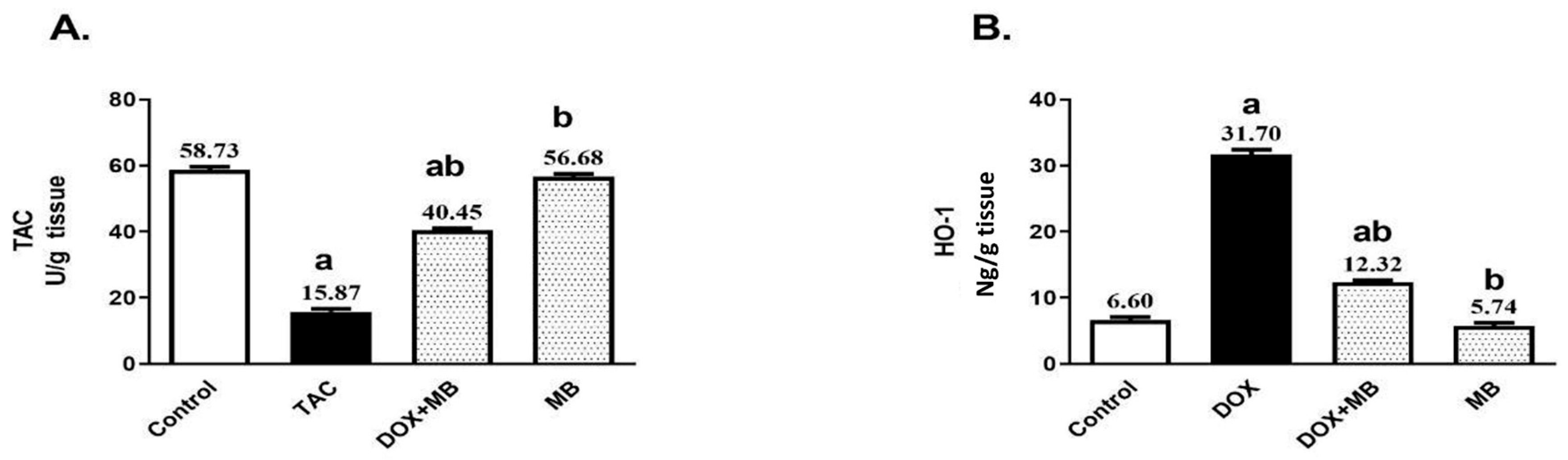 Pharmaceuticals 18 01625 g002 Pharmaceuticals 18 01625 g002