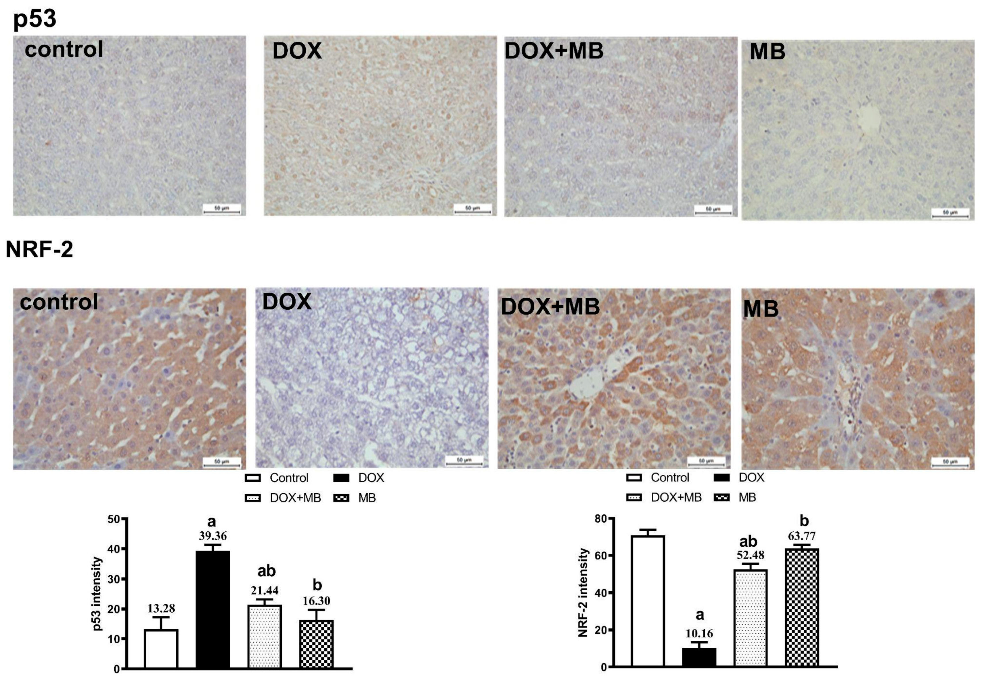 Pharmaceuticals 18 01625 g005 Pharmaceuticals 18 01625 g005