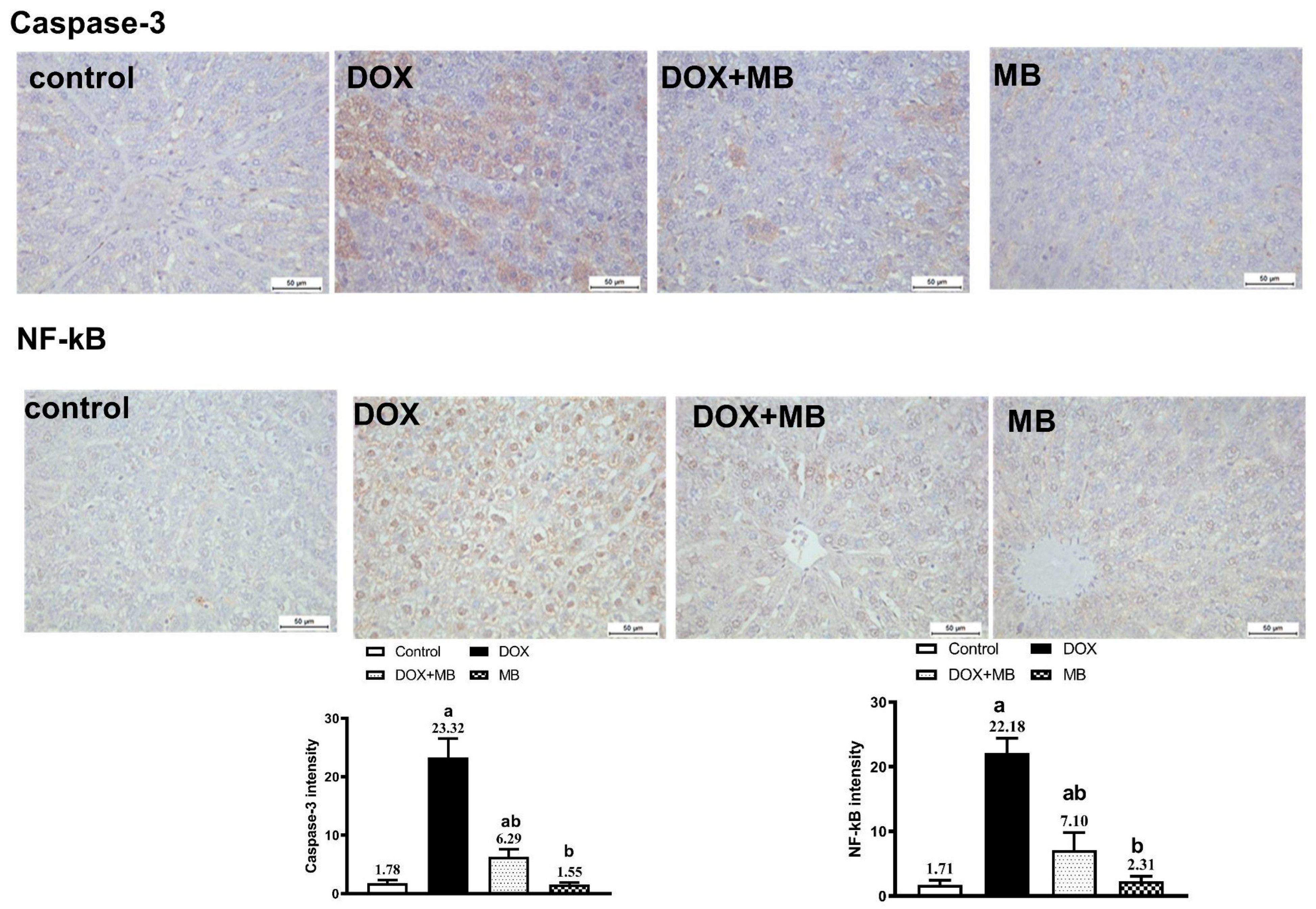 Pharmaceuticals 18 01625 g006 Pharmaceuticals 18 01625 g006