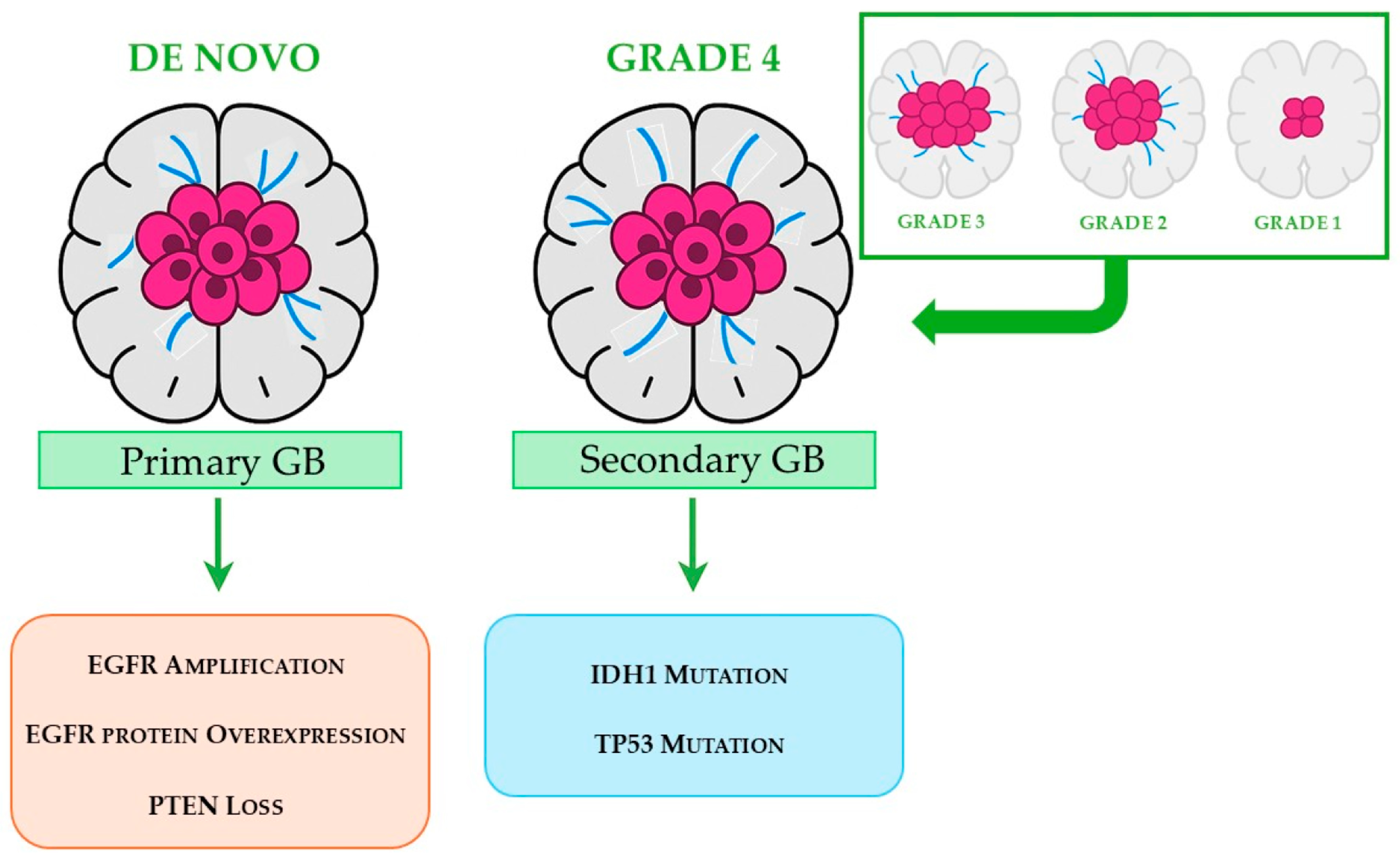 Pharmaceuticals 18 01626 g002 Pharmaceuticals 18 01626 g002