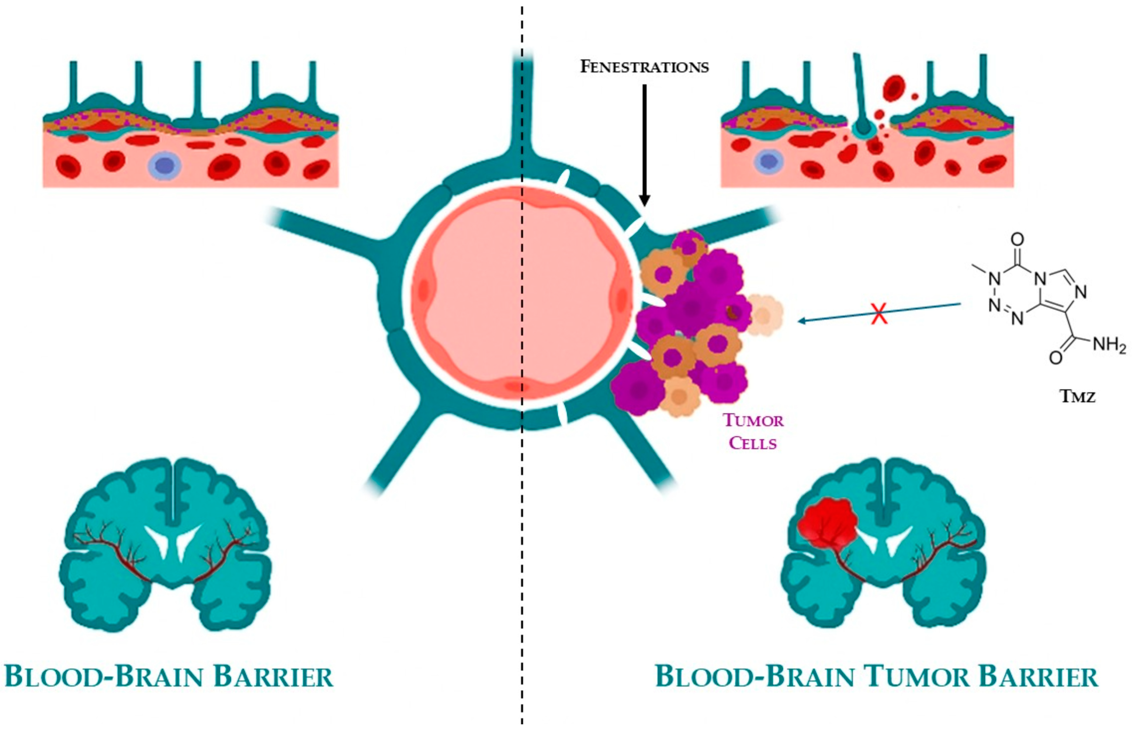 Pharmaceuticals 18 01626 g003 Pharmaceuticals 18 01626 g003