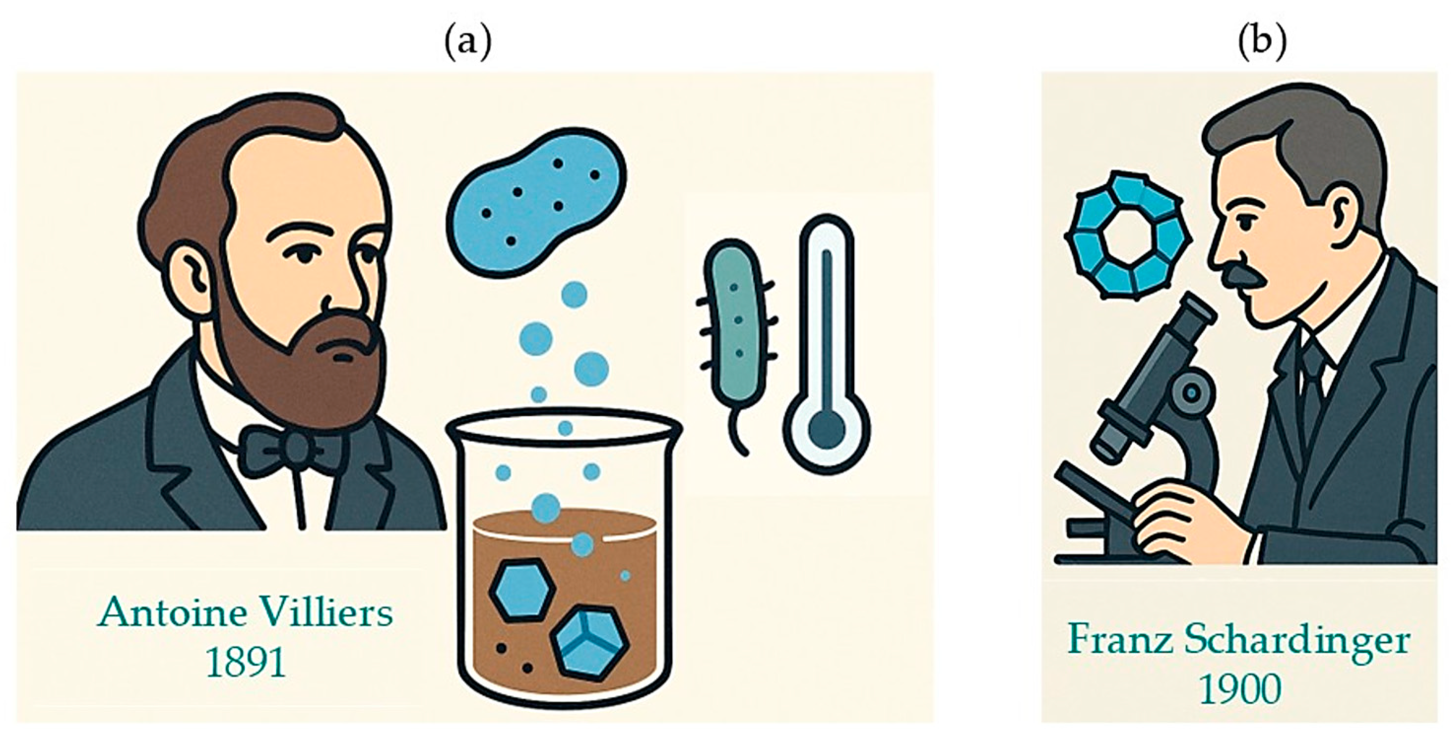 Pharmaceuticals 18 01626 g006 Pharmaceuticals 18 01626 g006