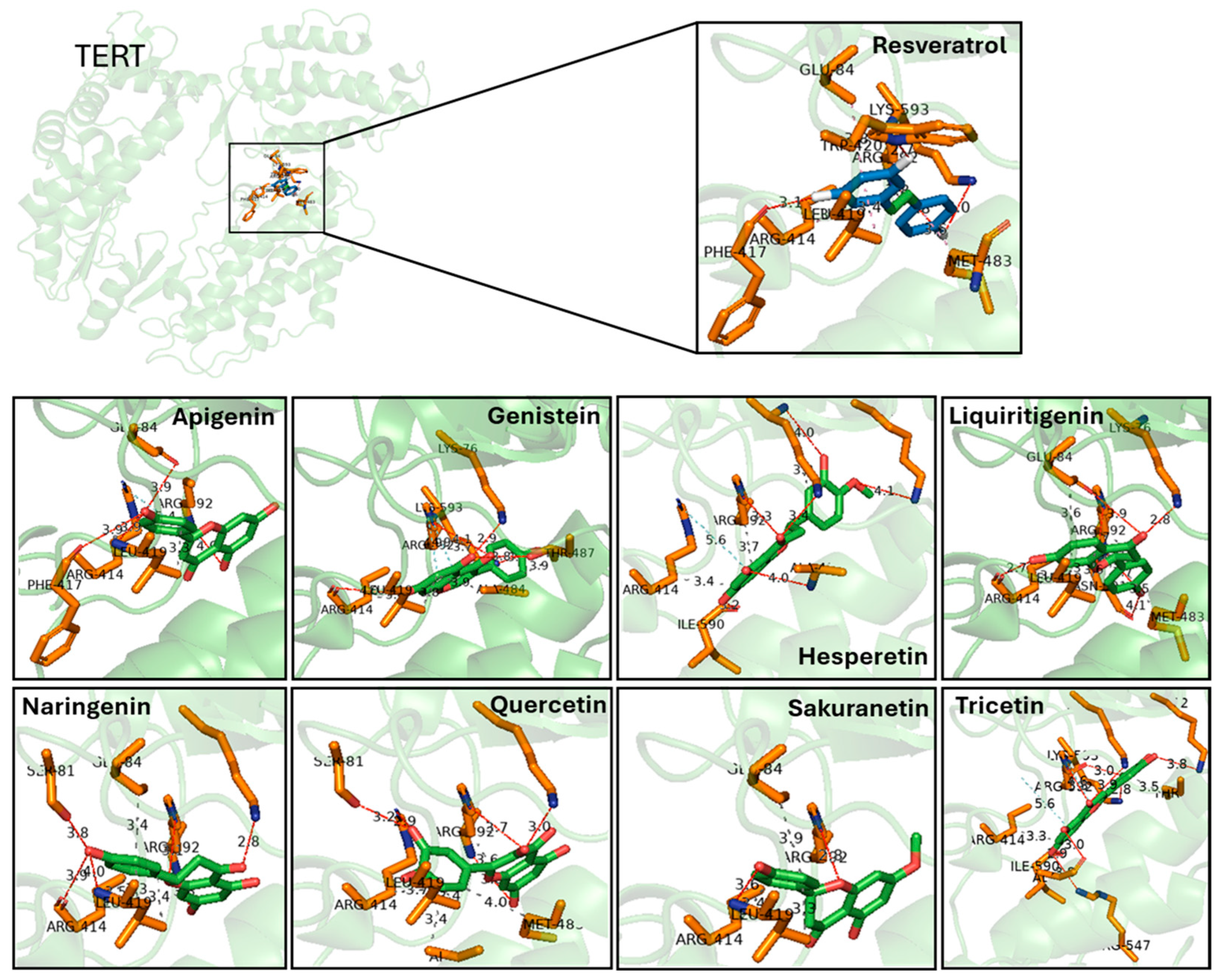Pharmaceuticals 18 01630 g003 Pharmaceuticals 18 01630 g003