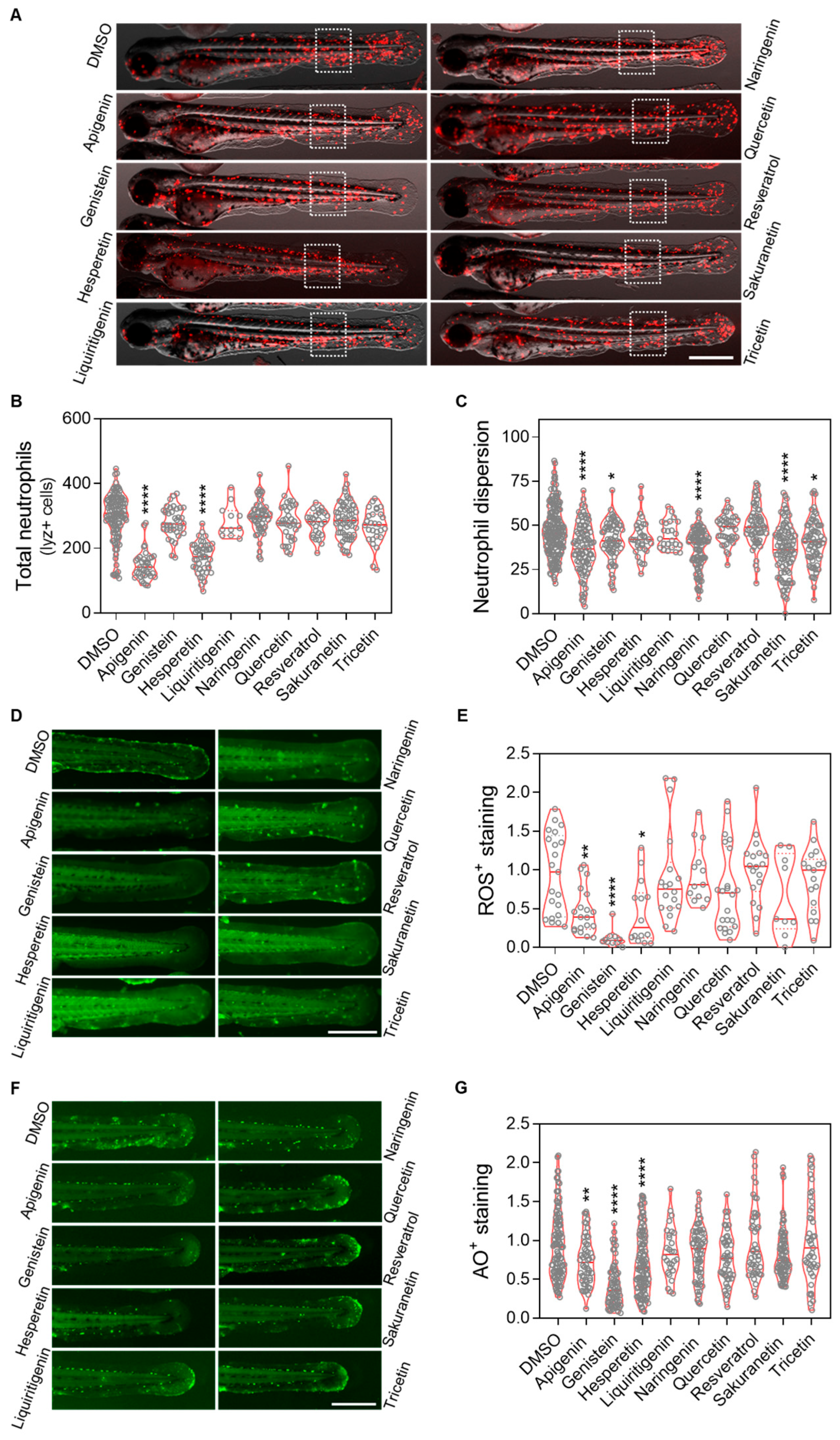 Pharmaceuticals 18 01630 g005 Pharmaceuticals 18 01630 g005