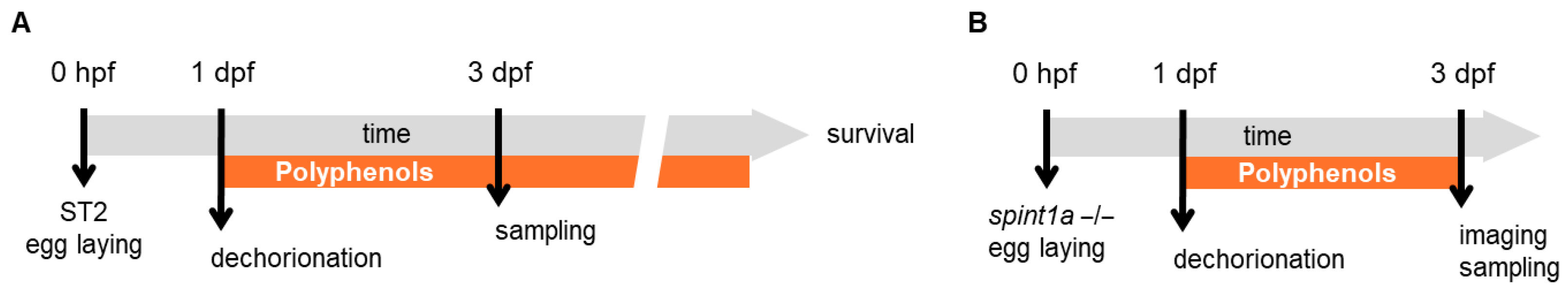 Pharmaceuticals 18 01630 g0a1 Pharmaceuticals 18 01630 g0a1