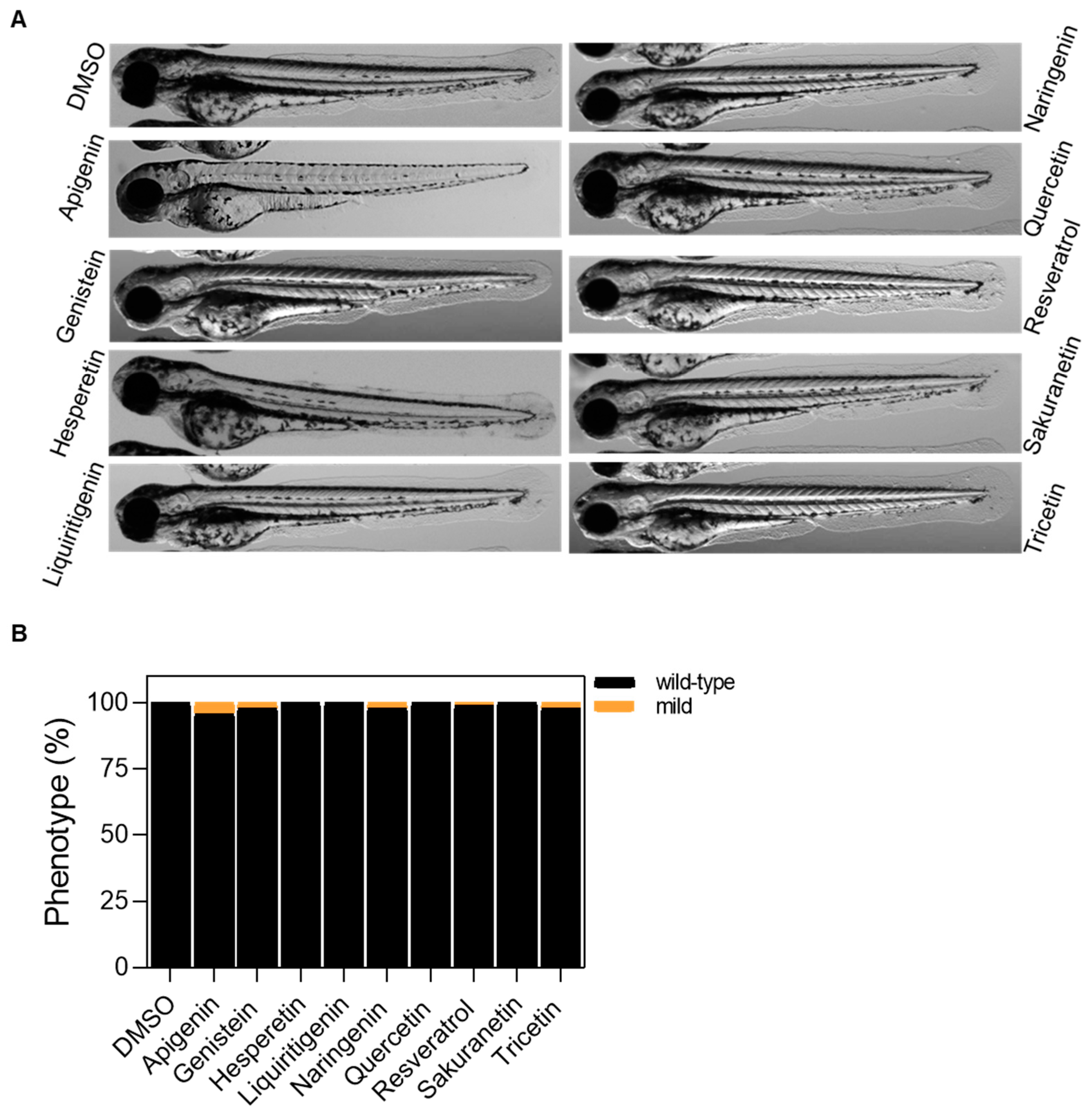 Pharmaceuticals 18 01630 g0a2 Pharmaceuticals 18 01630 g0a2