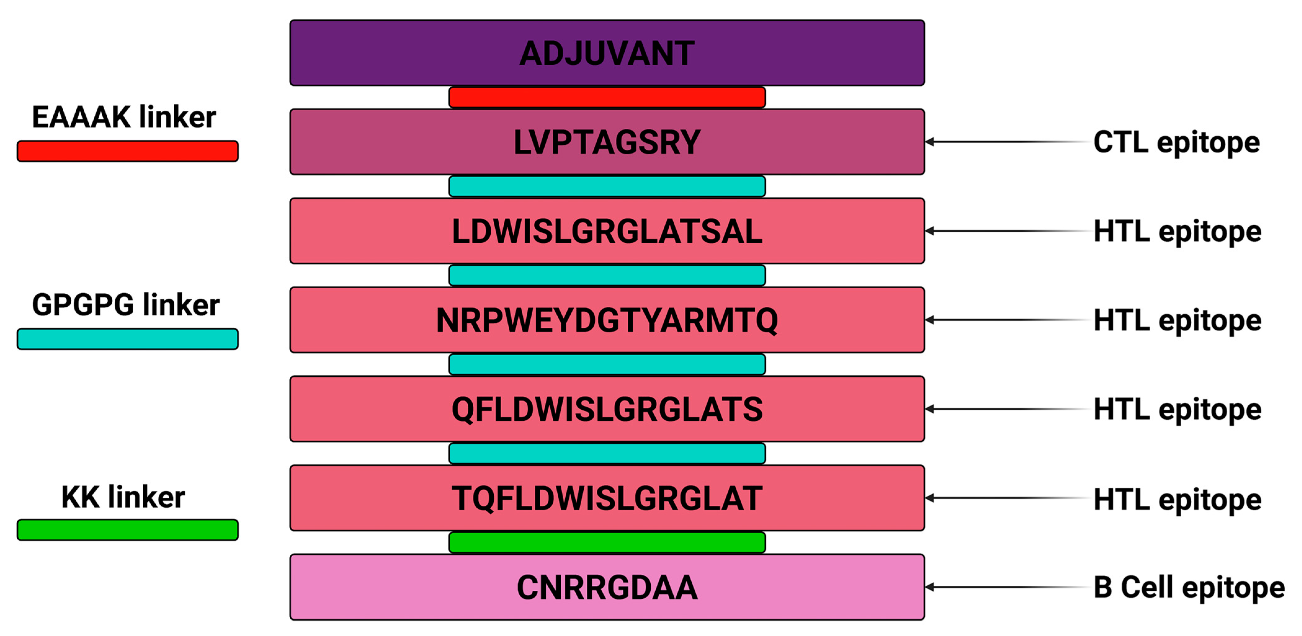 Pharmaceuticals 18 01632 g002 Pharmaceuticals 18 01632 g002