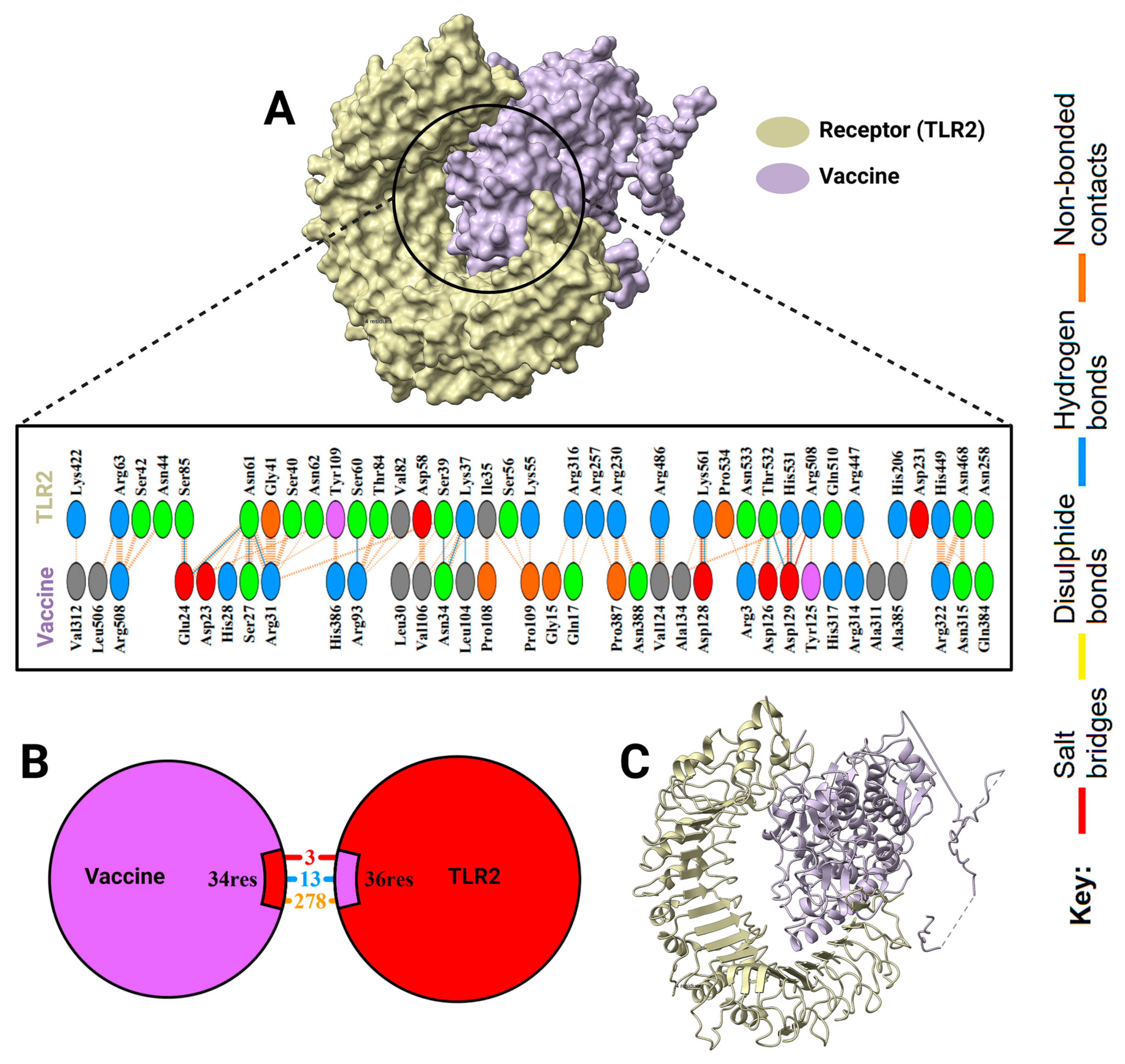 Pharmaceuticals 18 01632 g011 Pharmaceuticals 18 01632 g011