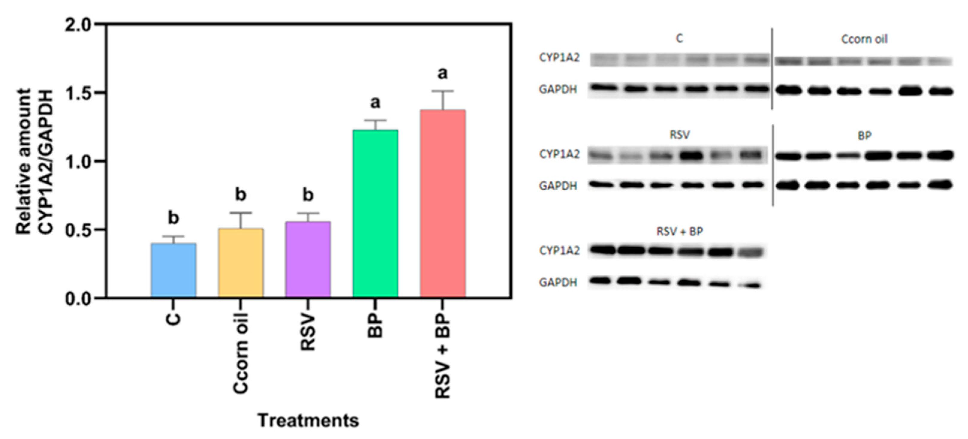 Pharmaceuticals 18 01633 g002